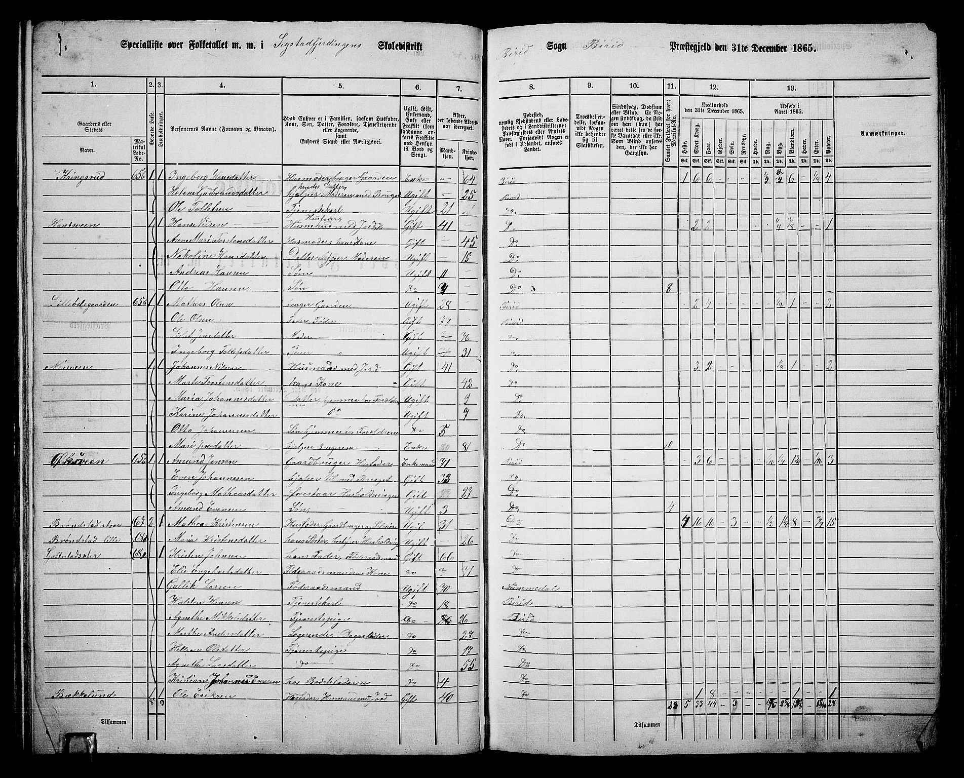 RA, 1865 census for Biri, 1865, p. 66