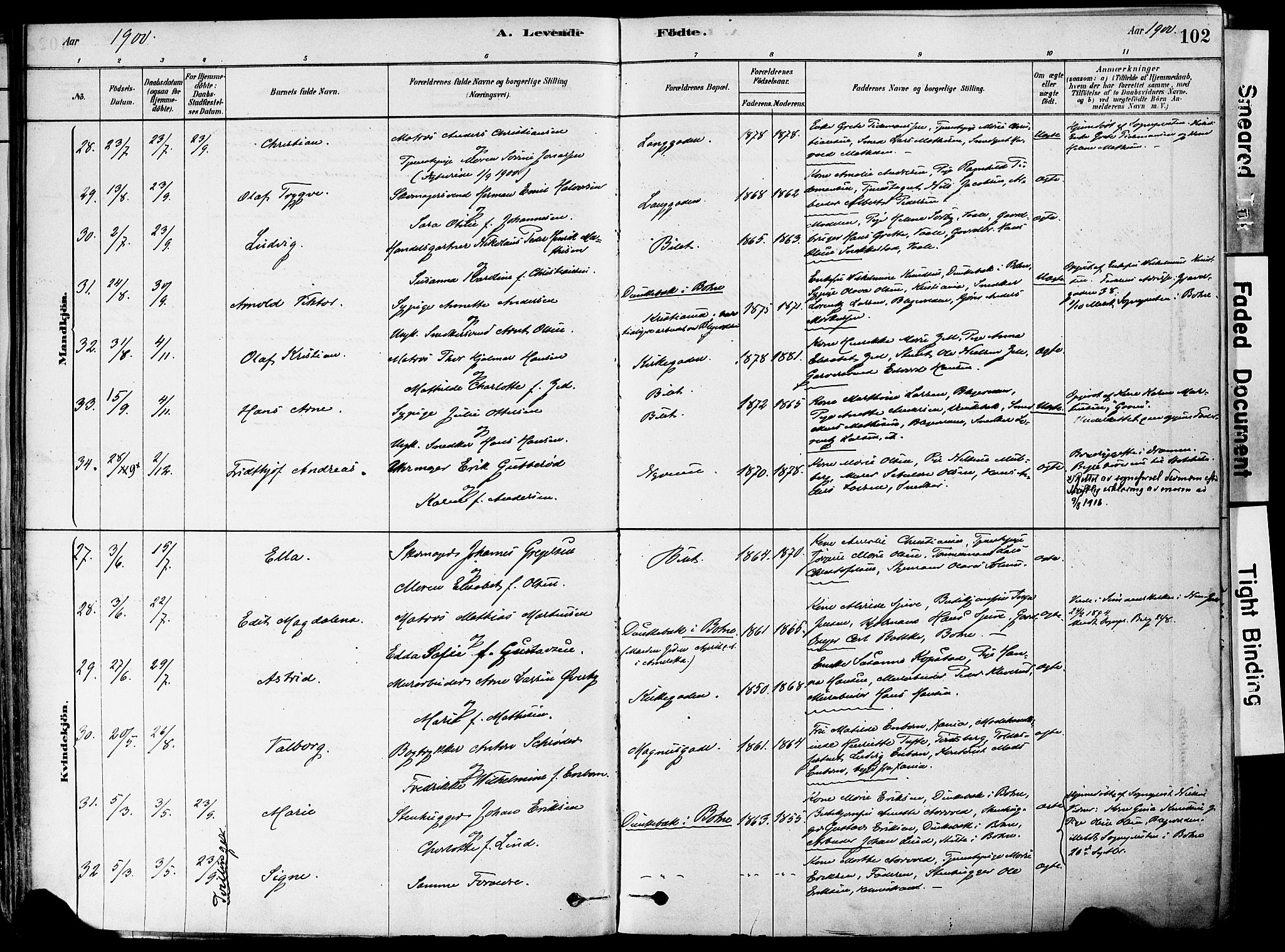 Holmestrand kirkebøker, AV/SAKO-A-346/F/Fa/L0004: Parish register (official) no. 4, 1880-1901, p. 102