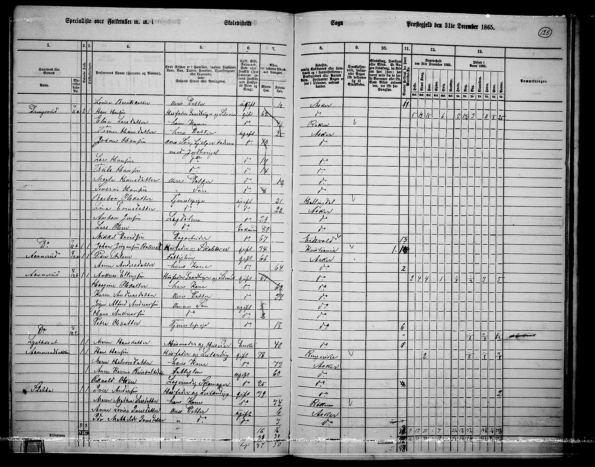 RA, 1865 census for Asker, 1865, p. 121