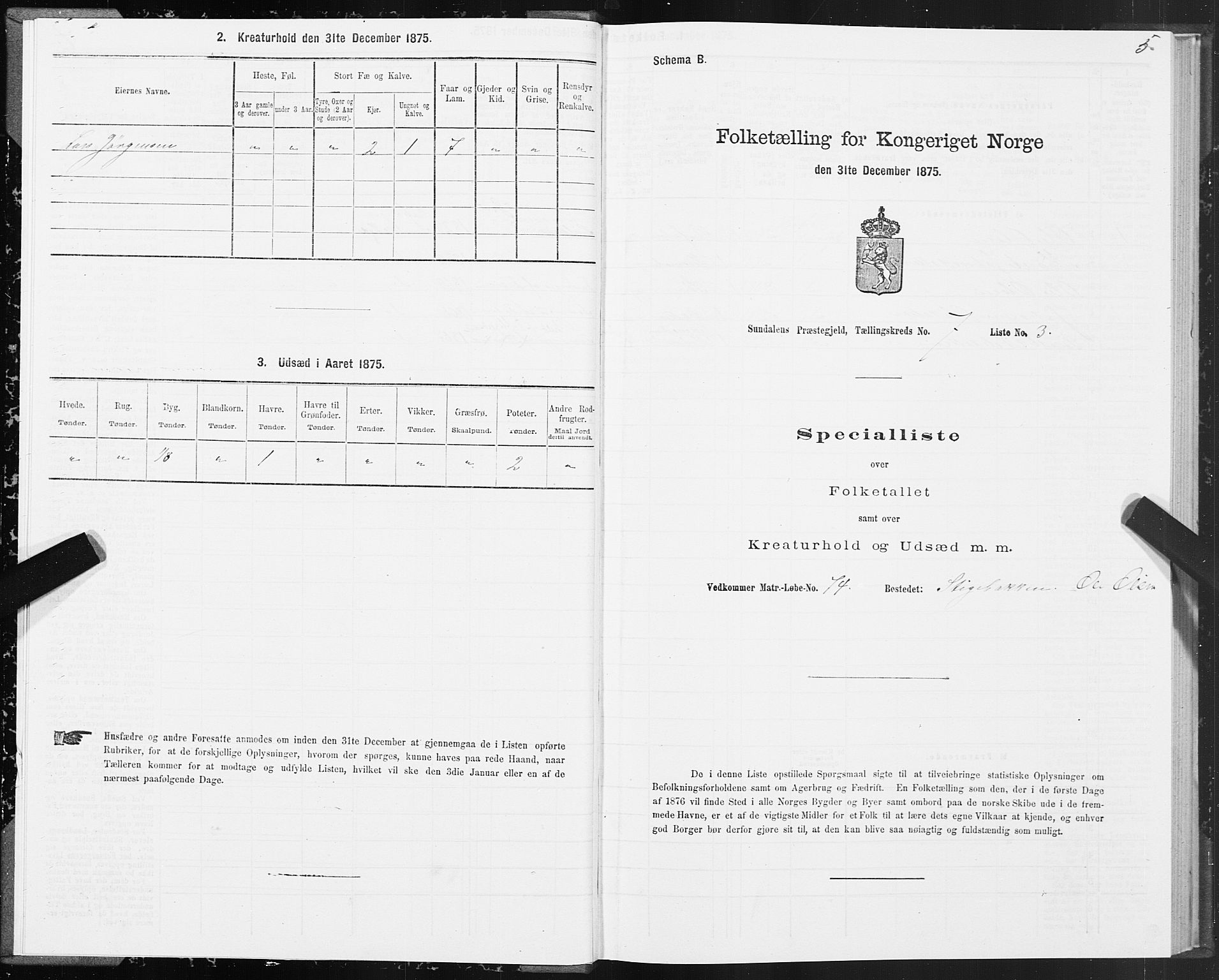 SAT, 1875 census for 1563P Sunndal, 1875, p. 3005