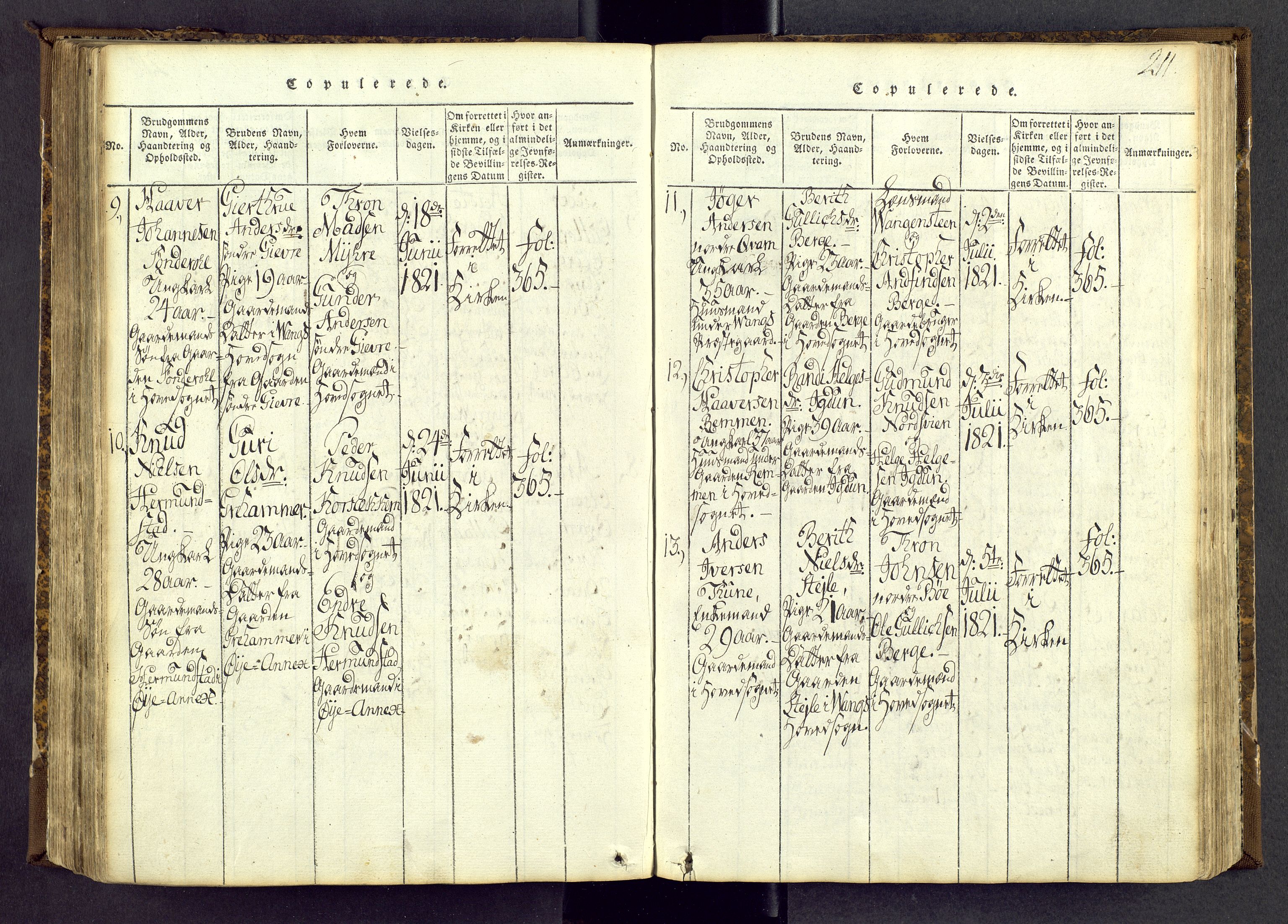 Vang prestekontor, Valdres, AV/SAH-PREST-140/H/Ha/L0004: Parish register (official) no. 4, 1814-1831, p. 211