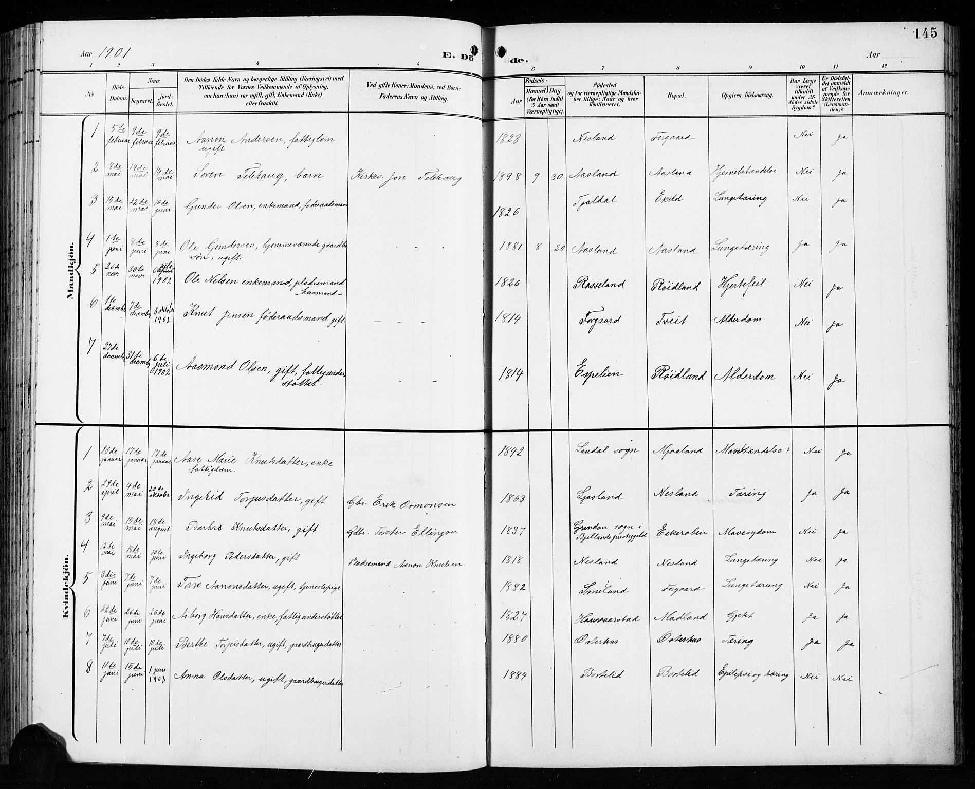 Åseral sokneprestkontor, AV/SAK-1111-0051/F/Fb/L0003: Parish register (copy) no. B 3, 1900-1919, p. 145