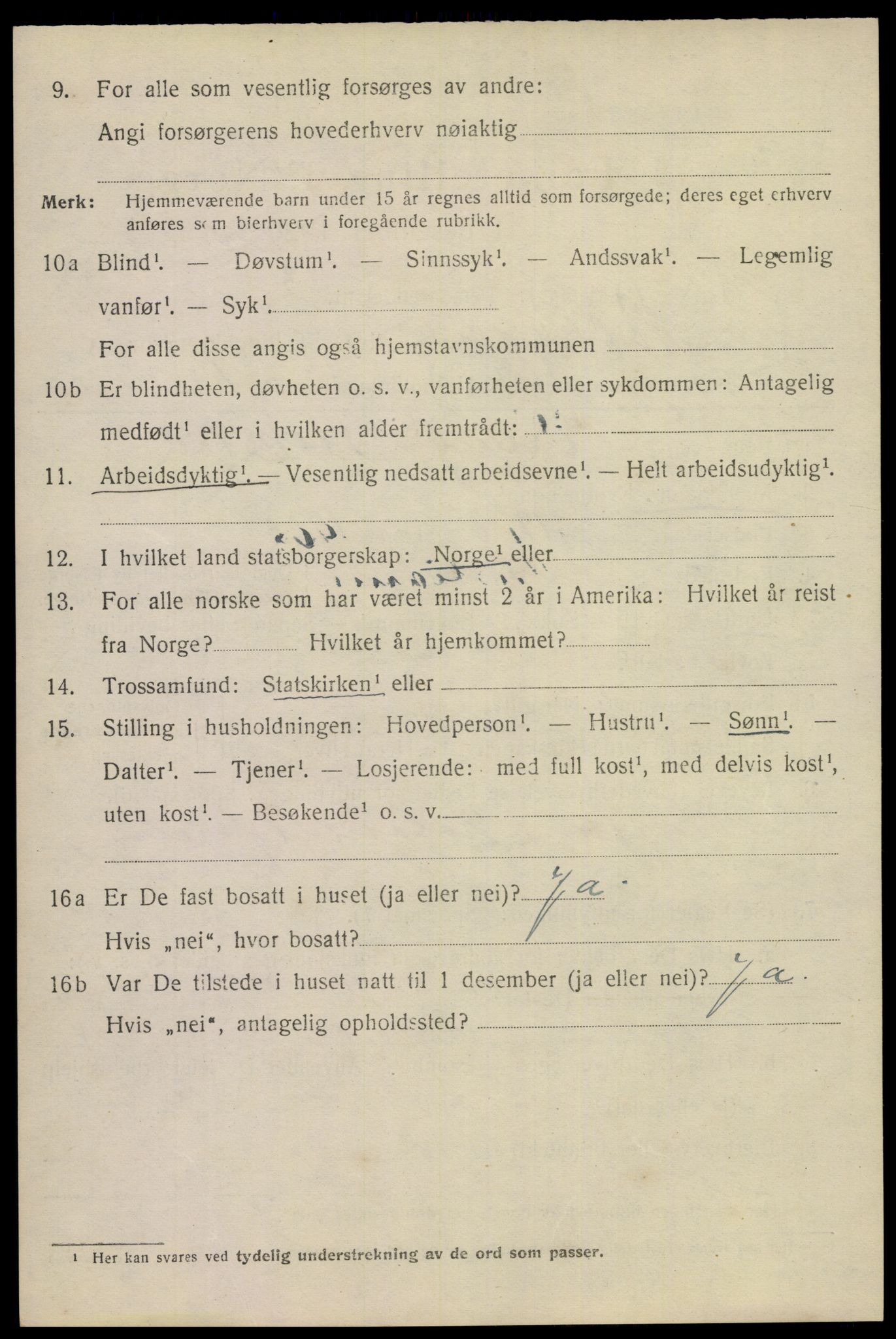 SAKO, 1920 census for Notodden, 1920, p. 15419