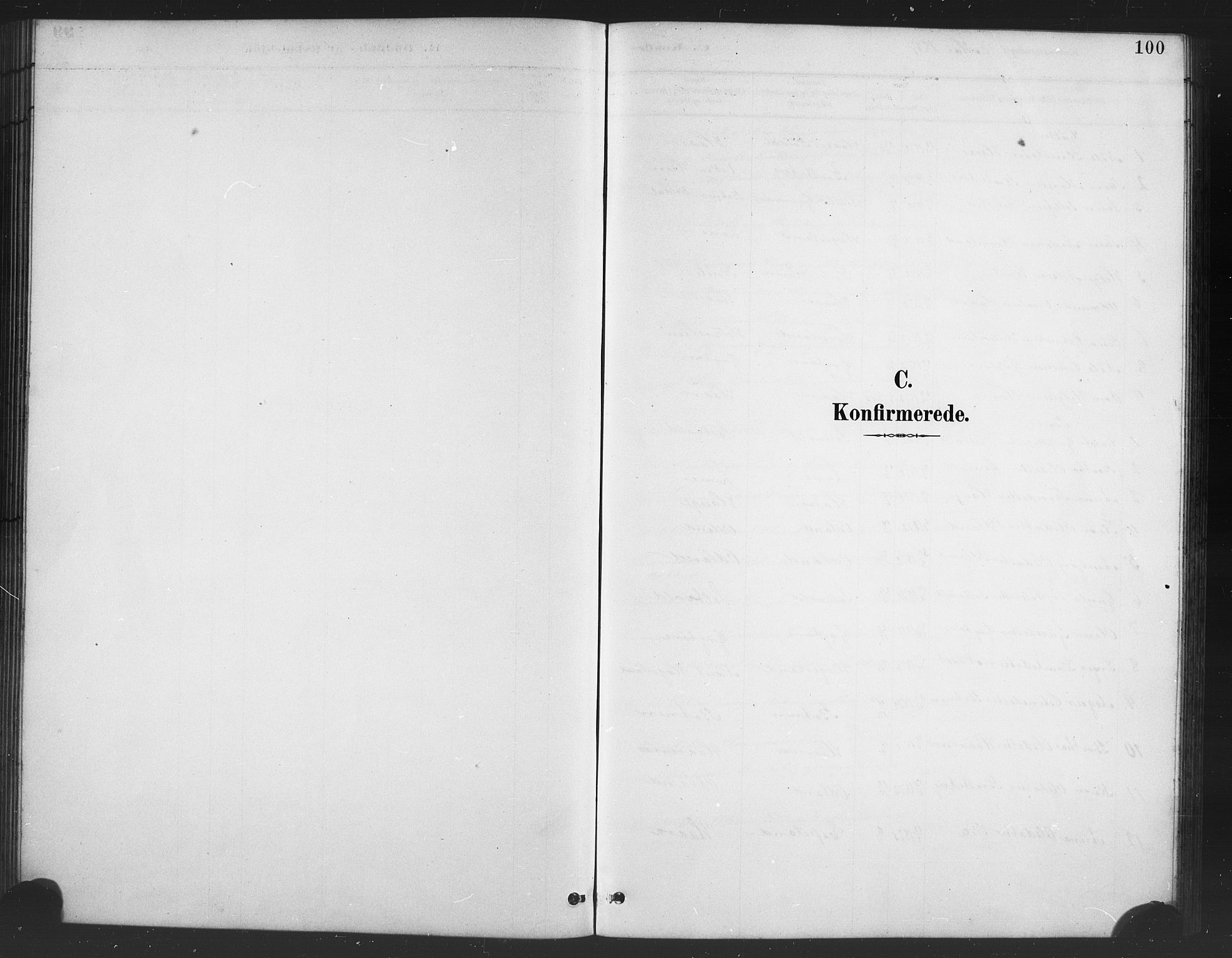 Røldal sokneprestembete, SAB/A-100247: Parish register (copy) no. A 3, 1887-1917, p. 100