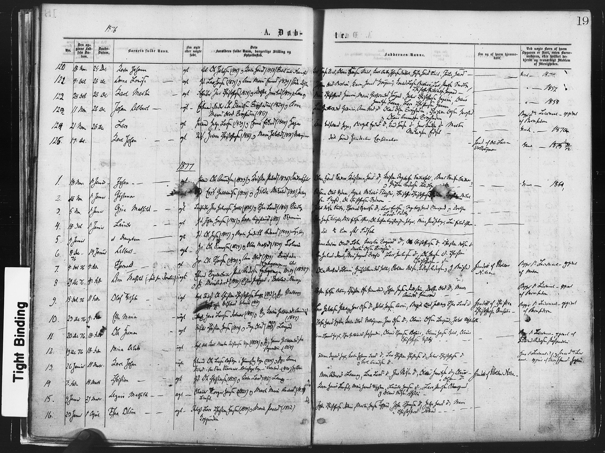 Nannestad prestekontor Kirkebøker, SAO/A-10414a/F/Fa/L0013: Parish register (official) no. I 13, 1873-1880, p. 19