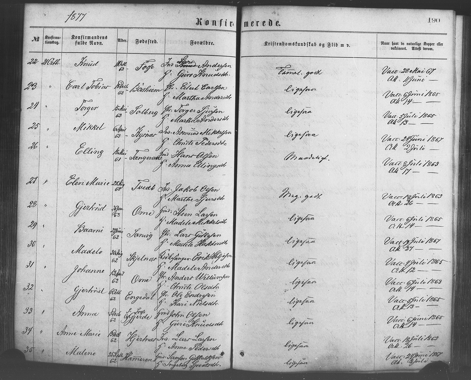 Strandebarm sokneprestembete, AV/SAB-A-78401/H/Haa: Parish register (official) no. A 9, 1872-1886, p. 190