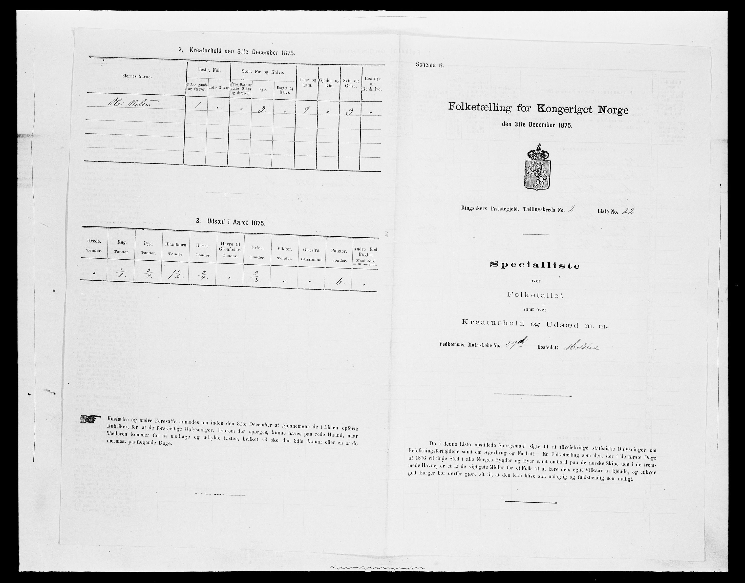 SAH, 1875 census for 0412P Ringsaker, 1875, p. 479