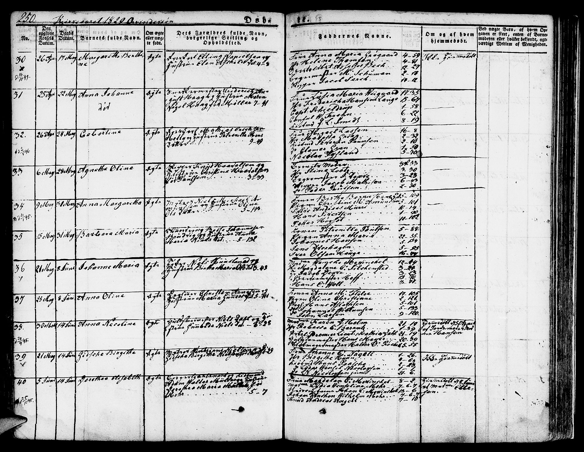 Nykirken Sokneprestembete, AV/SAB-A-77101/H/Hab: Parish register (copy) no. A 5I, 1821-1841, p. 250