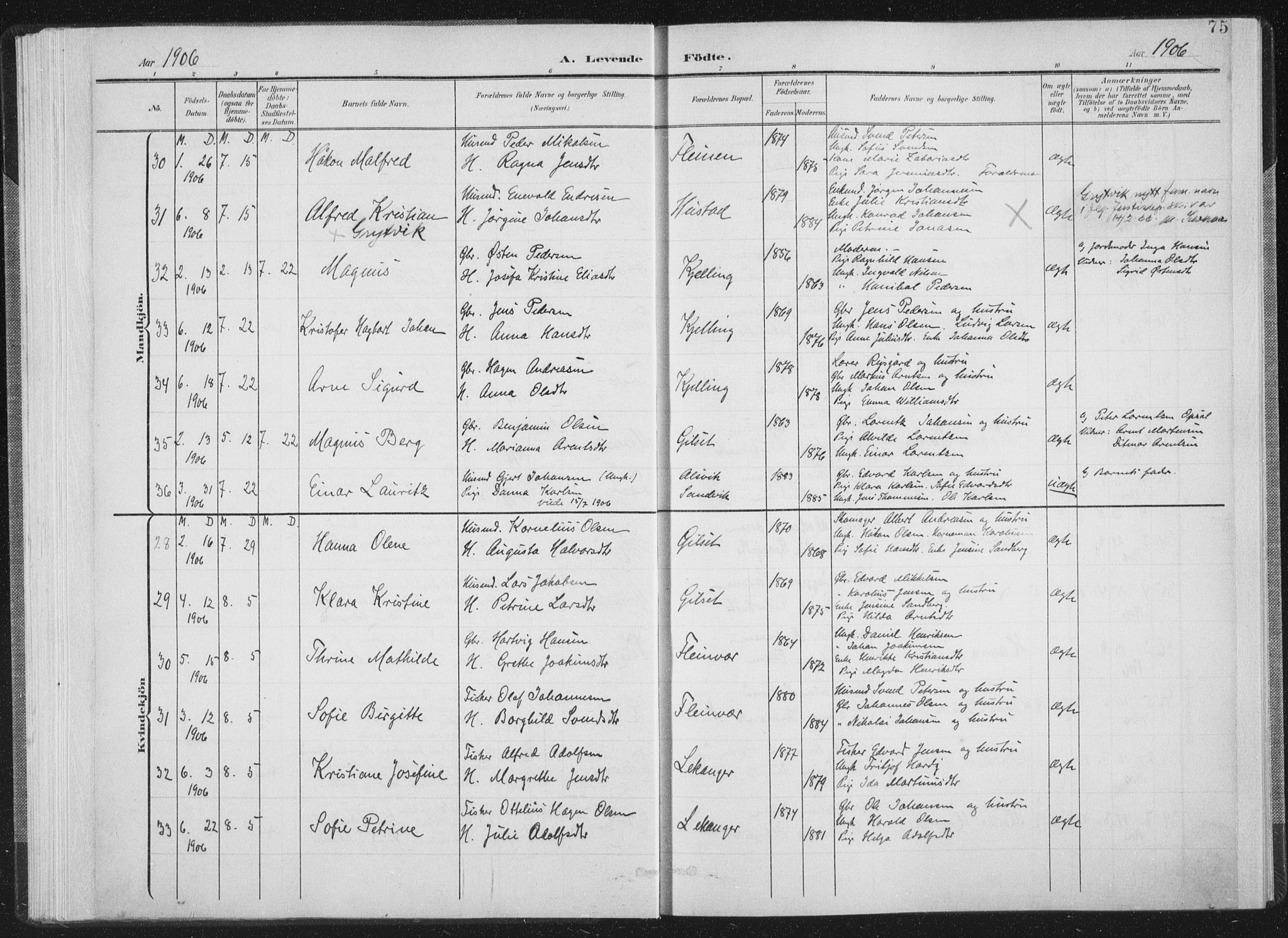 Ministerialprotokoller, klokkerbøker og fødselsregistre - Nordland, SAT/A-1459/805/L0102: Parish register (official) no. 805A08I, 1900-1909, p. 75
