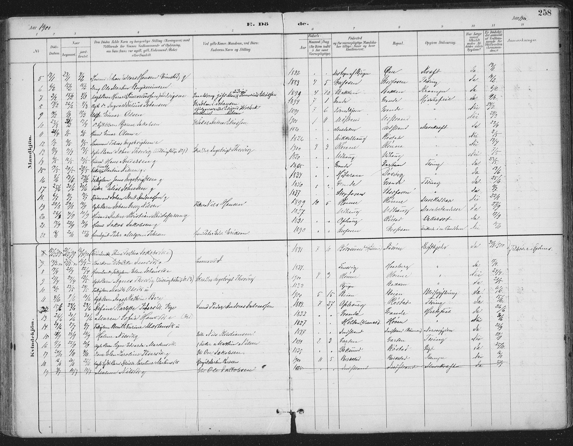 Ministerialprotokoller, klokkerbøker og fødselsregistre - Sør-Trøndelag, SAT/A-1456/659/L0743: Parish register (official) no. 659A13, 1893-1910, p. 258