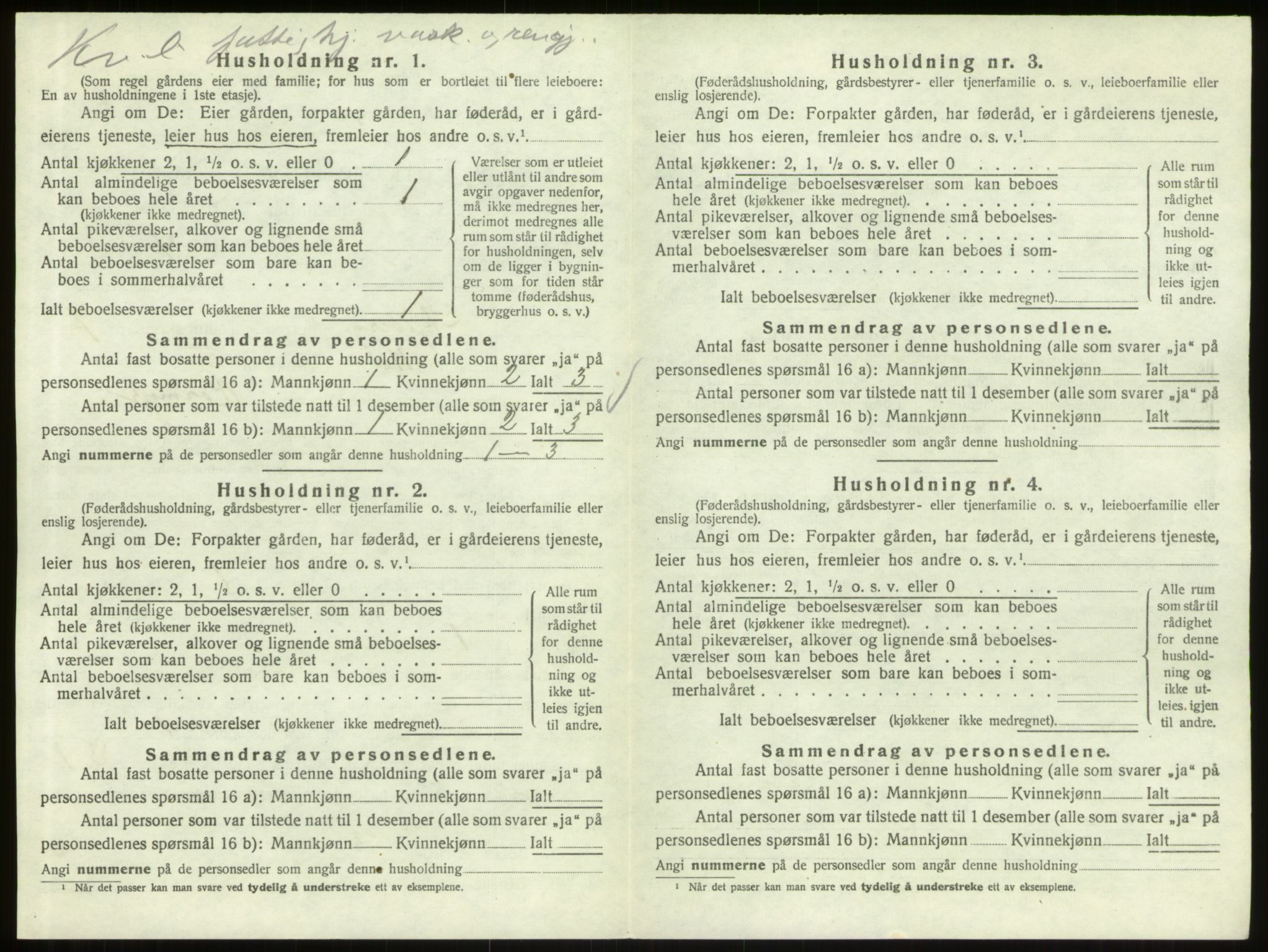 SAO, 1920 census for Skjeberg, 1920, p. 900