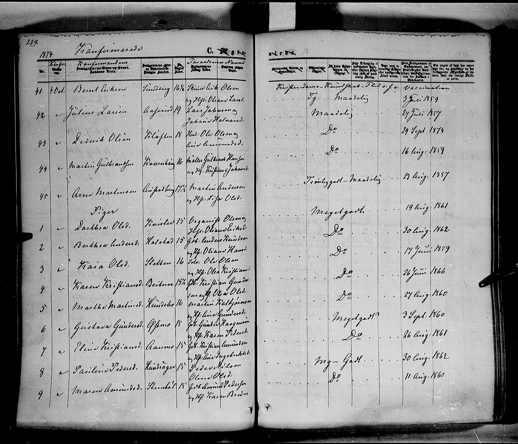 Hof prestekontor, AV/SAH-PREST-038/H/Ha/Haa/L0009: Parish register (official) no. 9, 1862-1877, p. 229