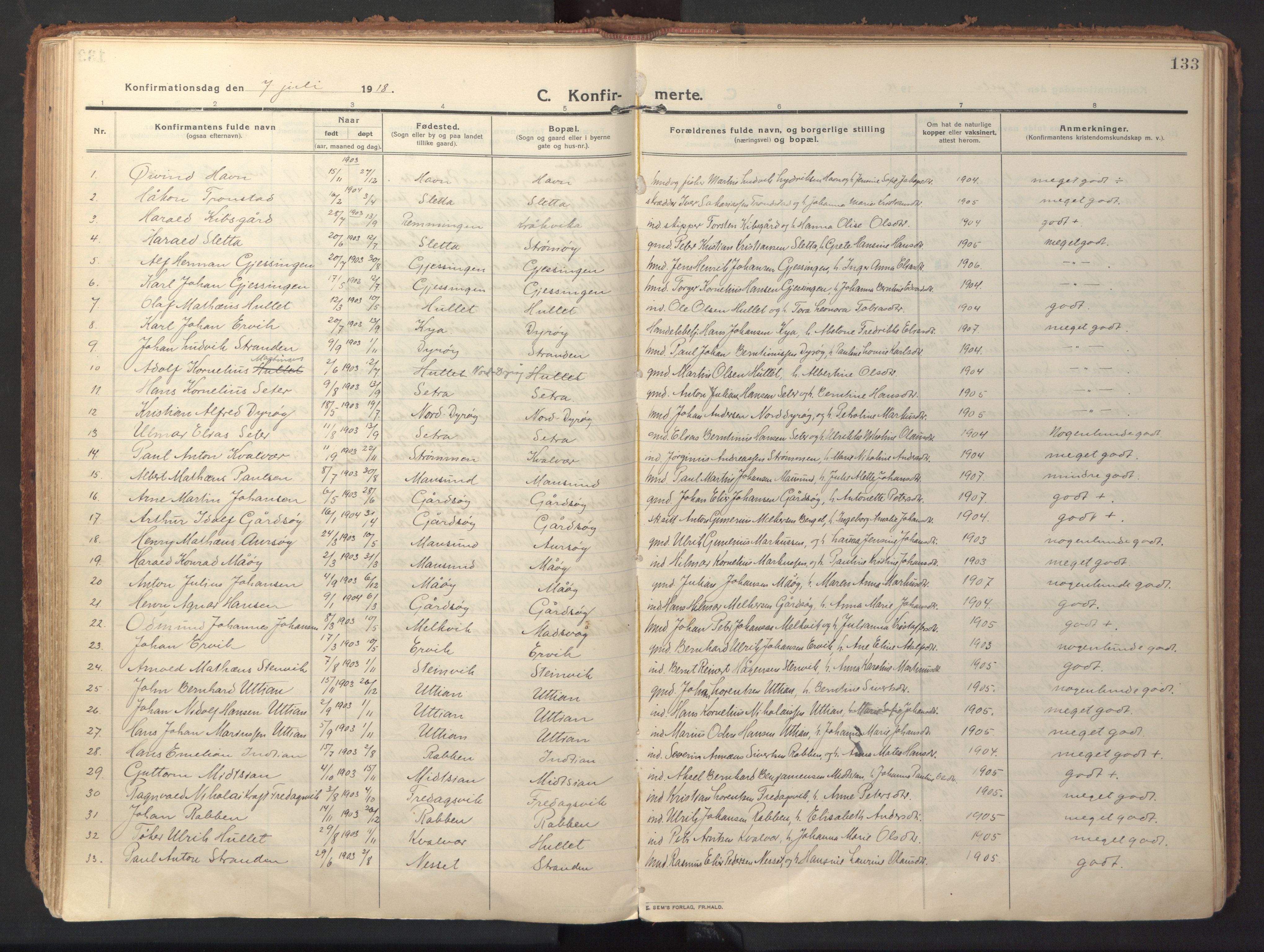 Ministerialprotokoller, klokkerbøker og fødselsregistre - Sør-Trøndelag, SAT/A-1456/640/L0581: Parish register (official) no. 640A06, 1910-1924, p. 133
