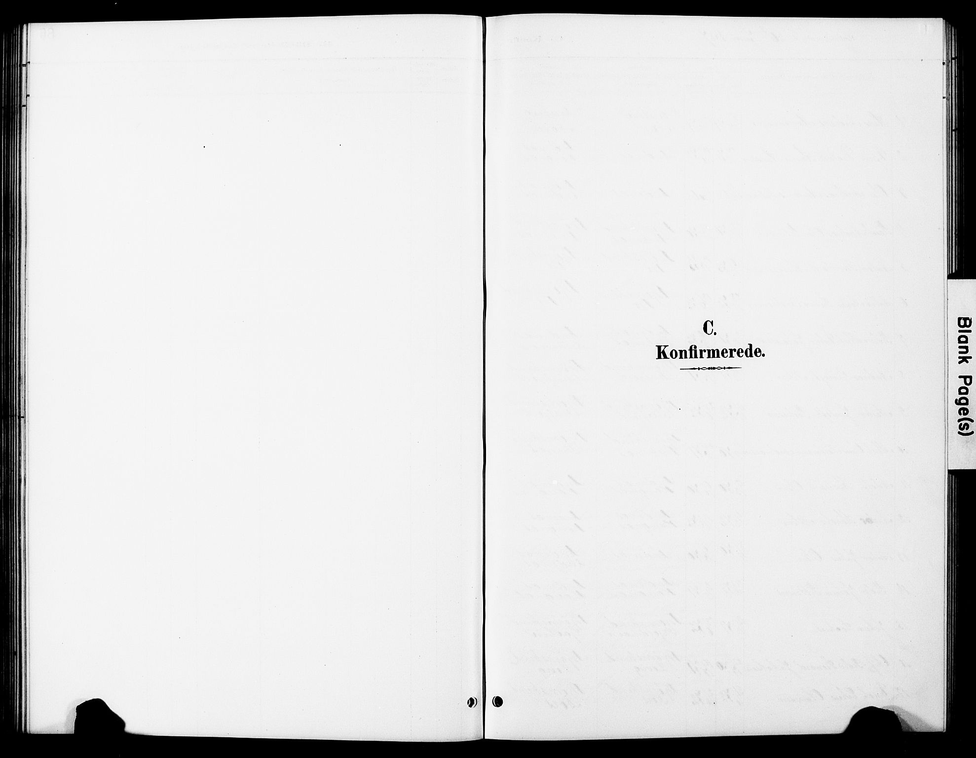 Ministerialprotokoller, klokkerbøker og fødselsregistre - Nordland, SAT/A-1459/897/L1413: Parish register (copy) no. 897C03, 1887-1903