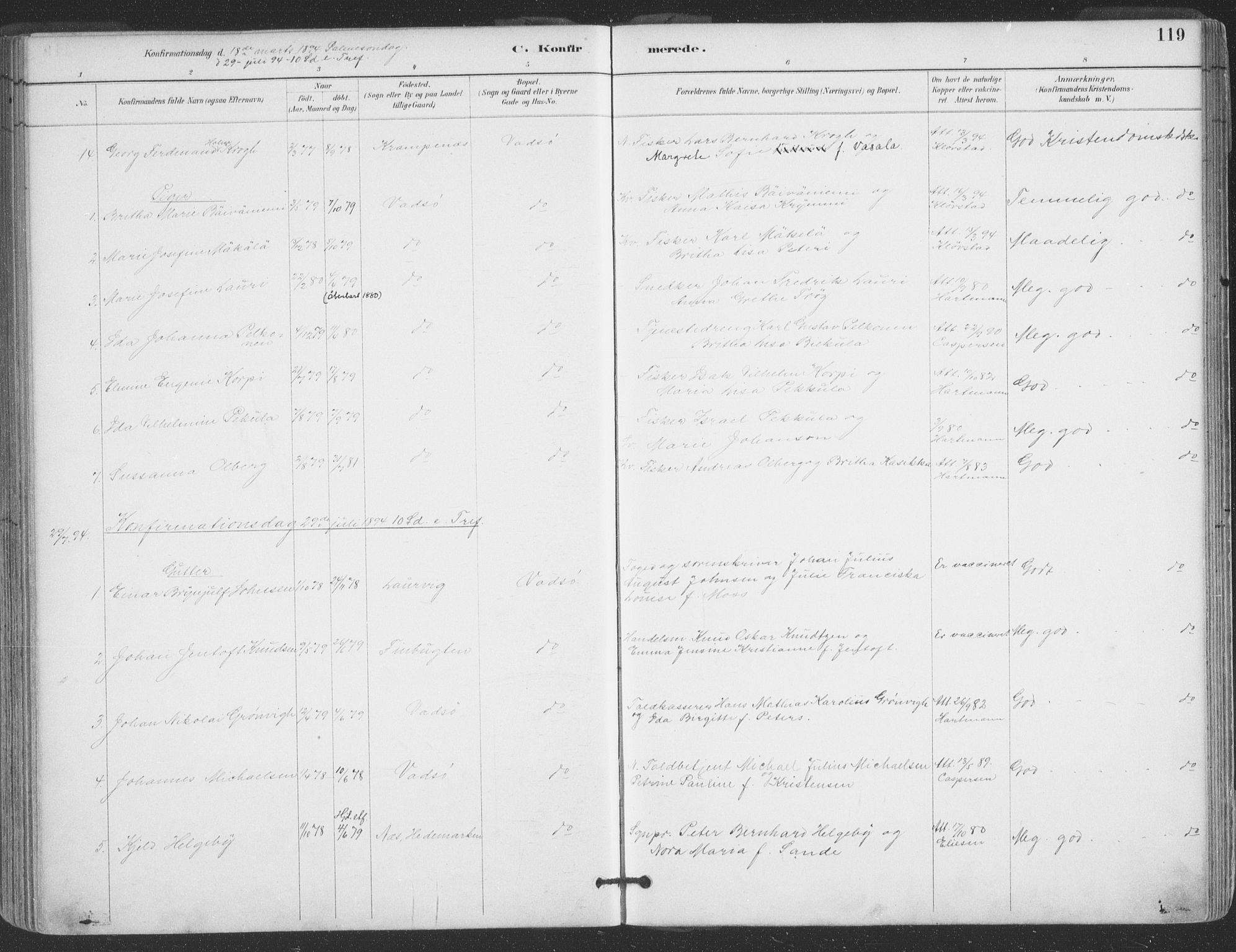 Vadsø sokneprestkontor, AV/SATØ-S-1325/H/Ha/L0006kirke: Parish register (official) no. 6, 1885-1895, p. 119