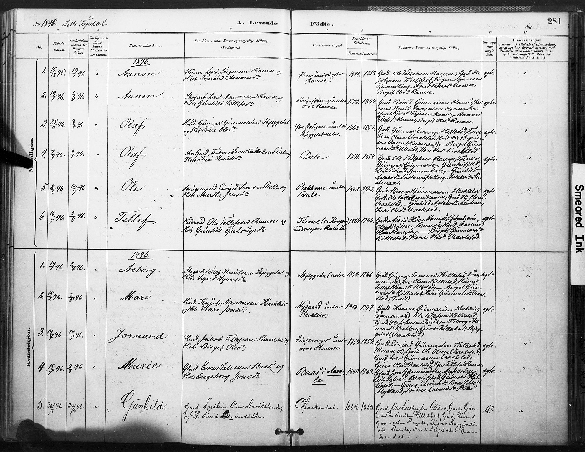 Åmli sokneprestkontor, SAK/1111-0050/F/Fa/Fac/L0010: Parish register (official) no. A 10 /3, 1885-1899, p. 281