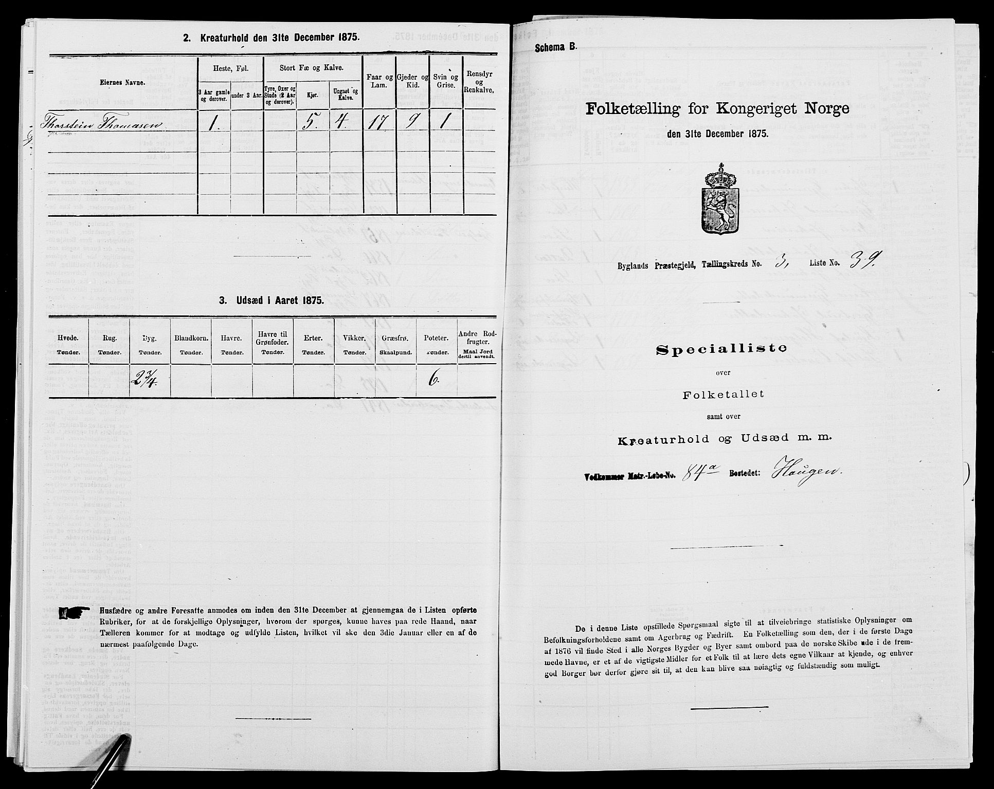 SAK, 1875 census for 0938P Bygland, 1875, p. 309