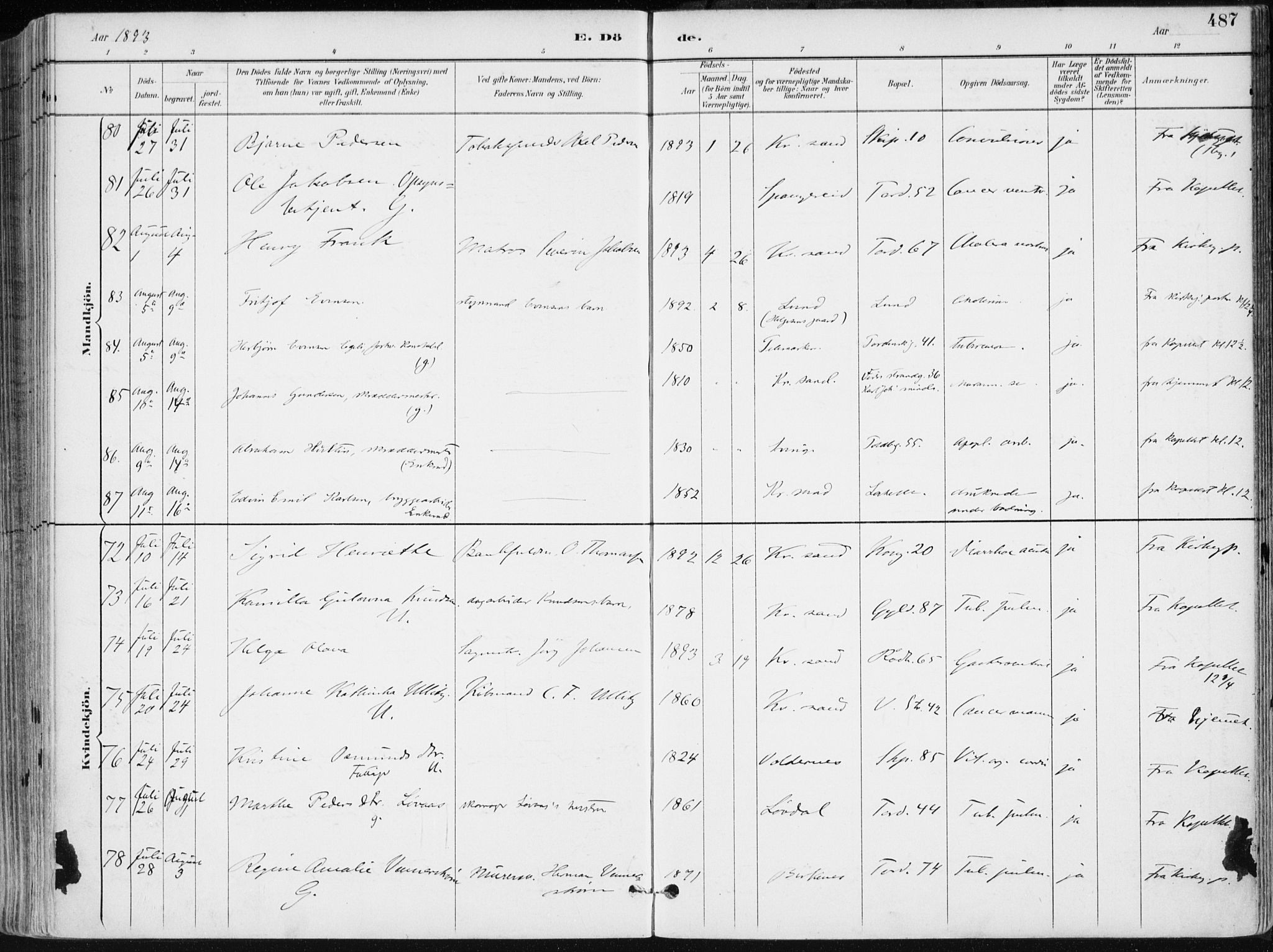 Kristiansand domprosti, SAK/1112-0006/F/Fa/L0019: Parish register (official) no. A 18, 1890-1897, p. 487