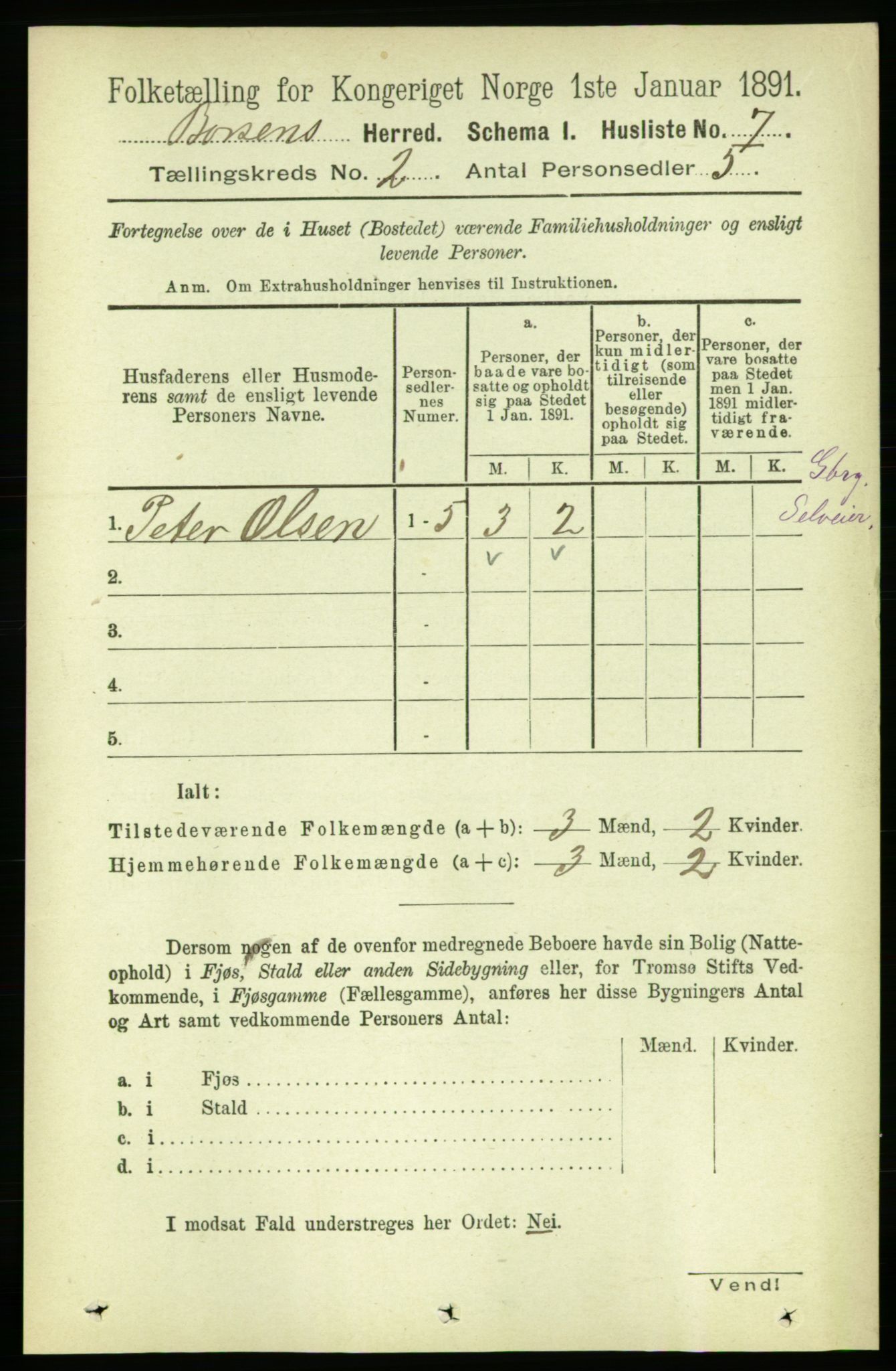 RA, 1891 census for 1658 Børsa, 1891, p. 461