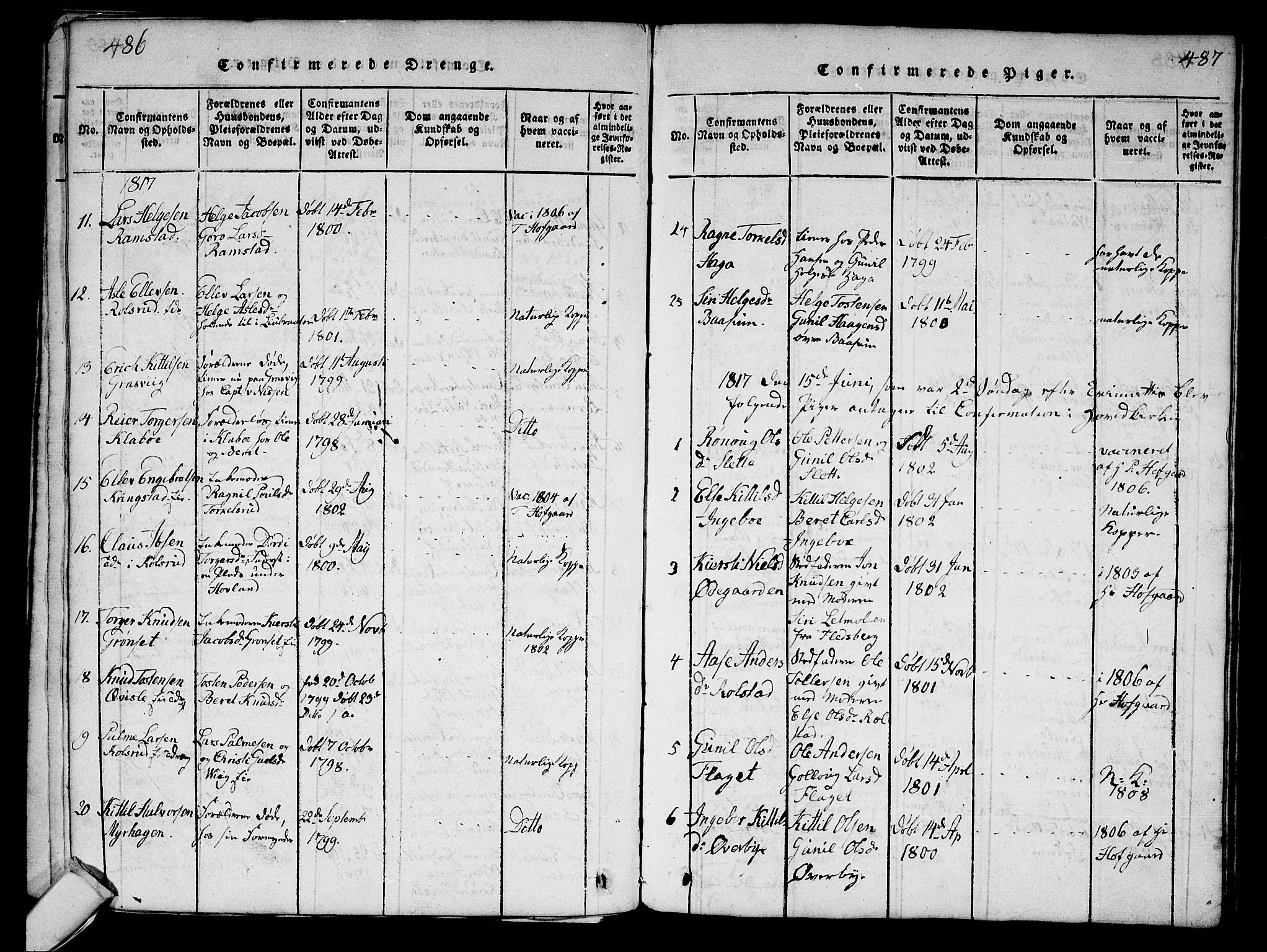 Sigdal kirkebøker, AV/SAKO-A-245/G/Ga/L0001: Parish register (copy) no. I 1 /1, 1816-1835, p. 486-487