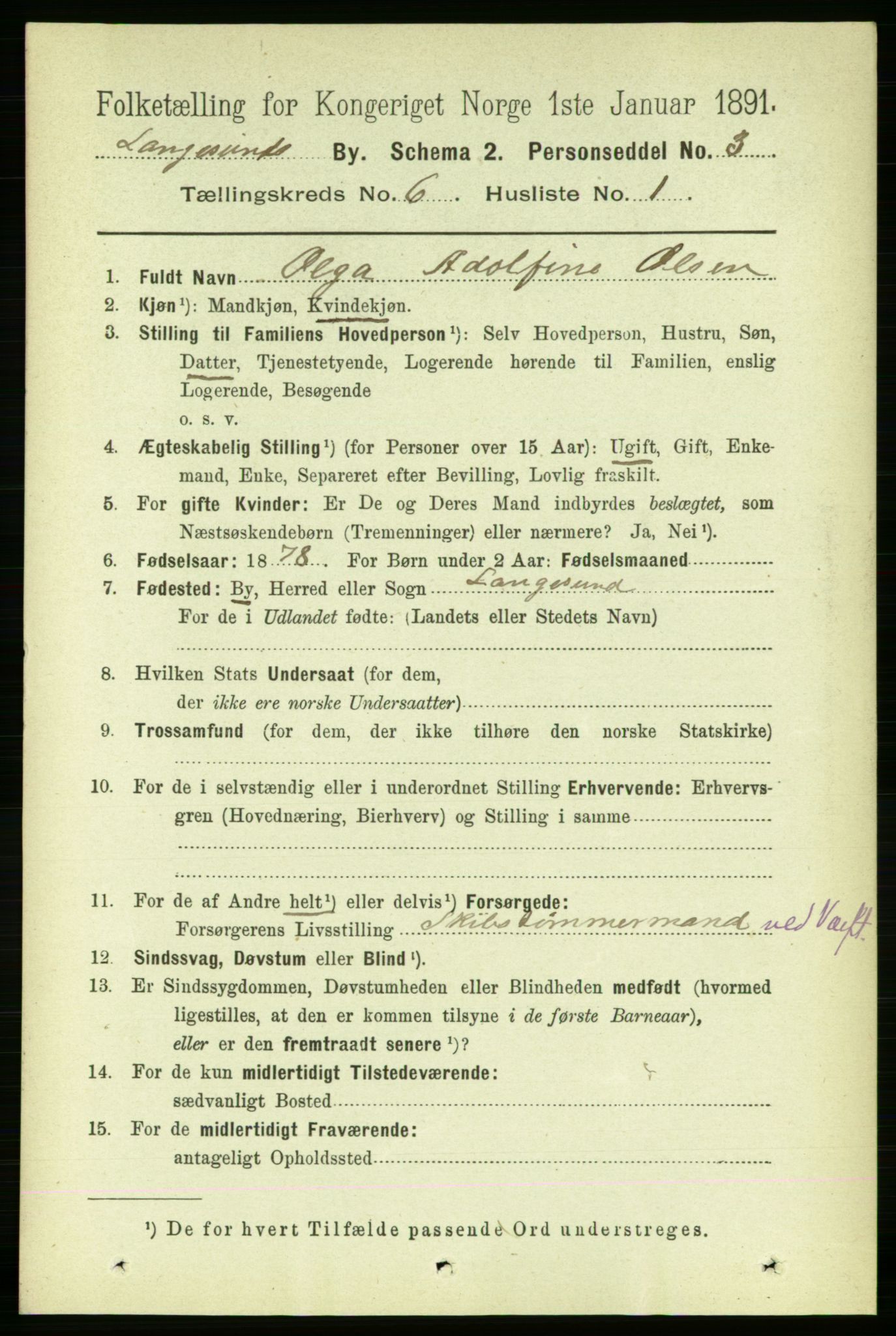 RA, 1891 census for 0802 Langesund, 1891, p. 1502