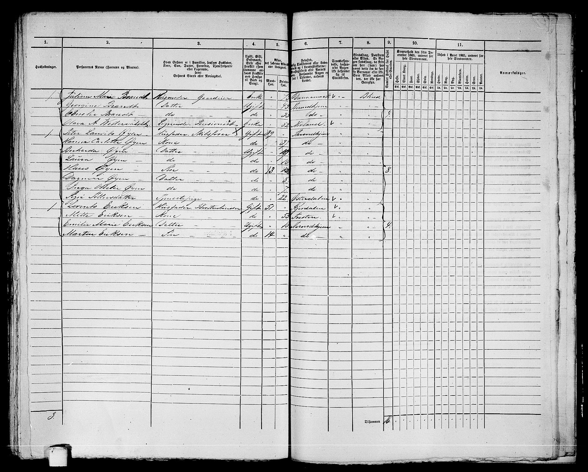 RA, 1865 census for Trondheim, 1865, p. 1031