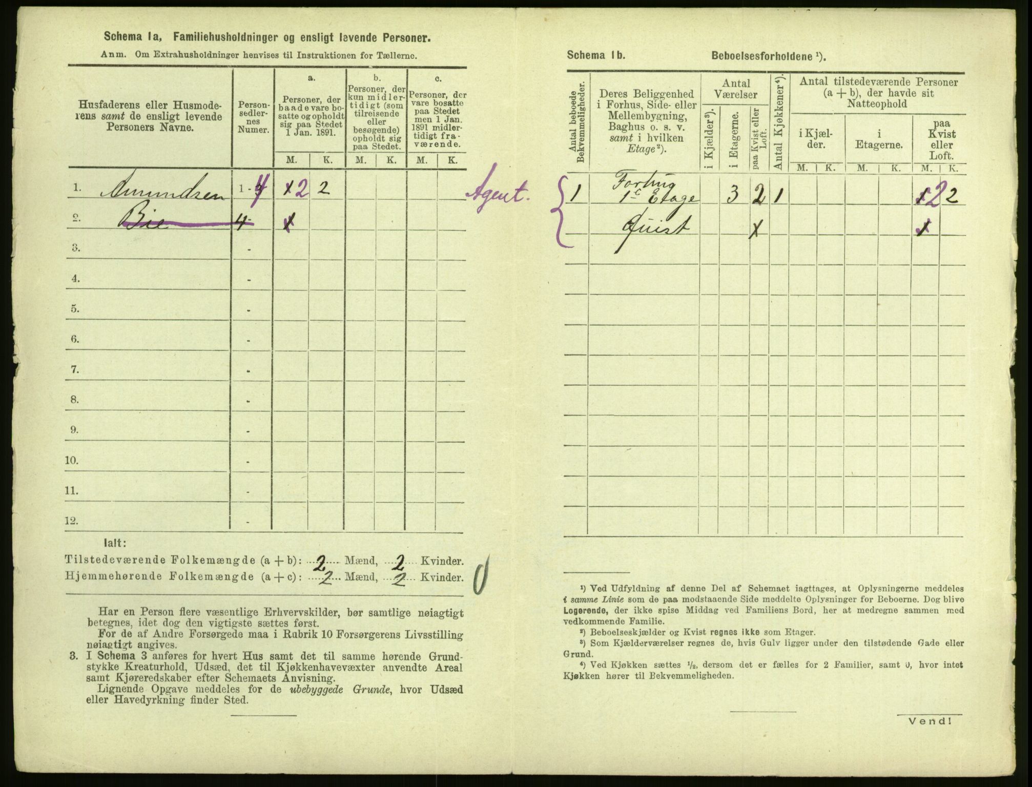 RA, 1891 census for 0904 Grimstad, 1891, p. 571