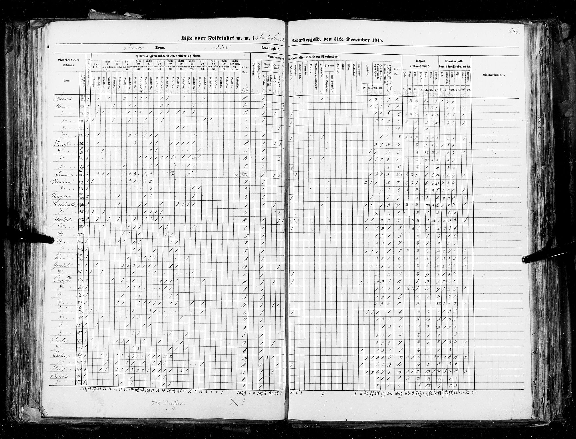 RA, Census 1845, vol. 4: Buskerud amt og Jarlsberg og Larvik amt, 1845, p. 246