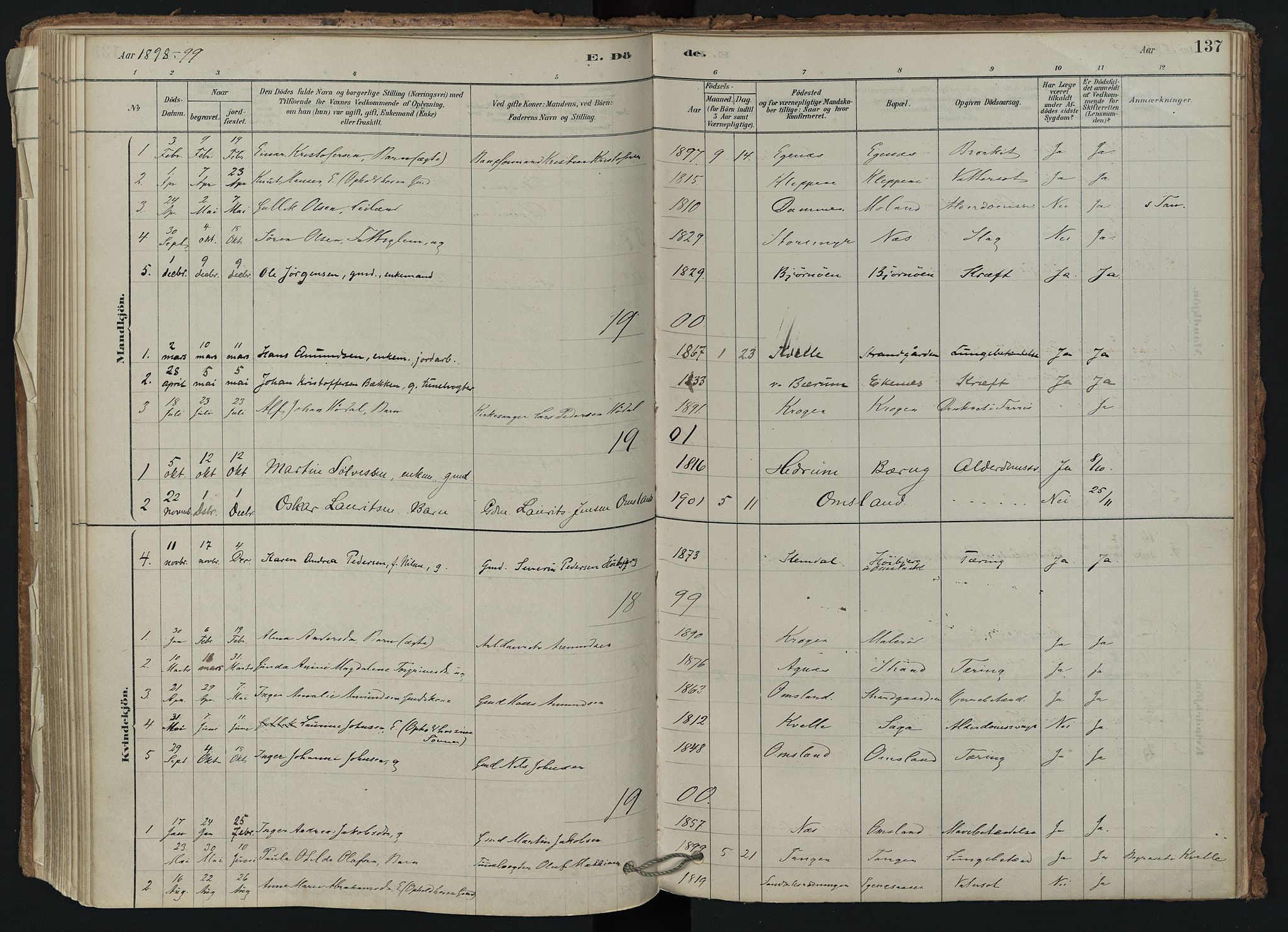 Brunlanes kirkebøker, AV/SAKO-A-342/F/Fd/L0001: Parish register (official) no. IV 1, 1878-1917, p. 137