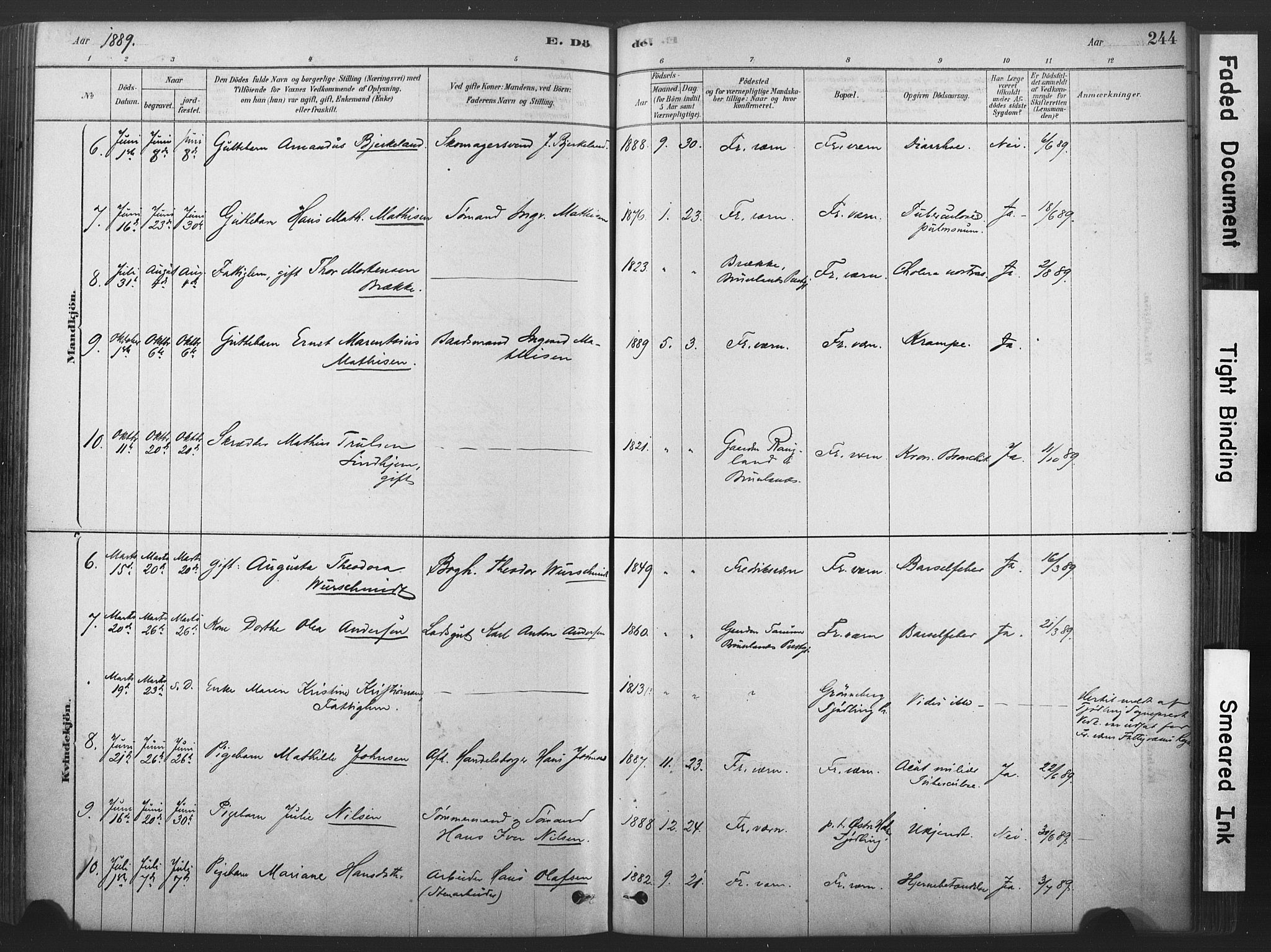 Stavern kirkebøker, AV/SAKO-A-318/F/Fa/L0008: Parish register (official) no. 8, 1878-1905, p. 244