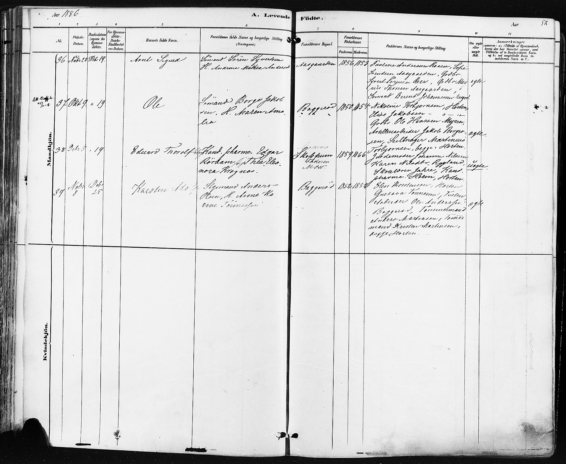 Borre kirkebøker, AV/SAKO-A-338/F/Fa/L0009: Parish register (official) no. I 9, 1878-1896, p. 58