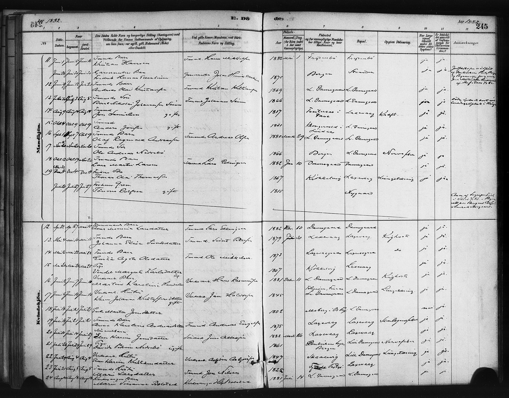 Askøy Sokneprestembete, AV/SAB-A-74101/H/Ha/Haa/Haae/L0002: Parish register (official) no. E 2, 1878-1891, p. 245