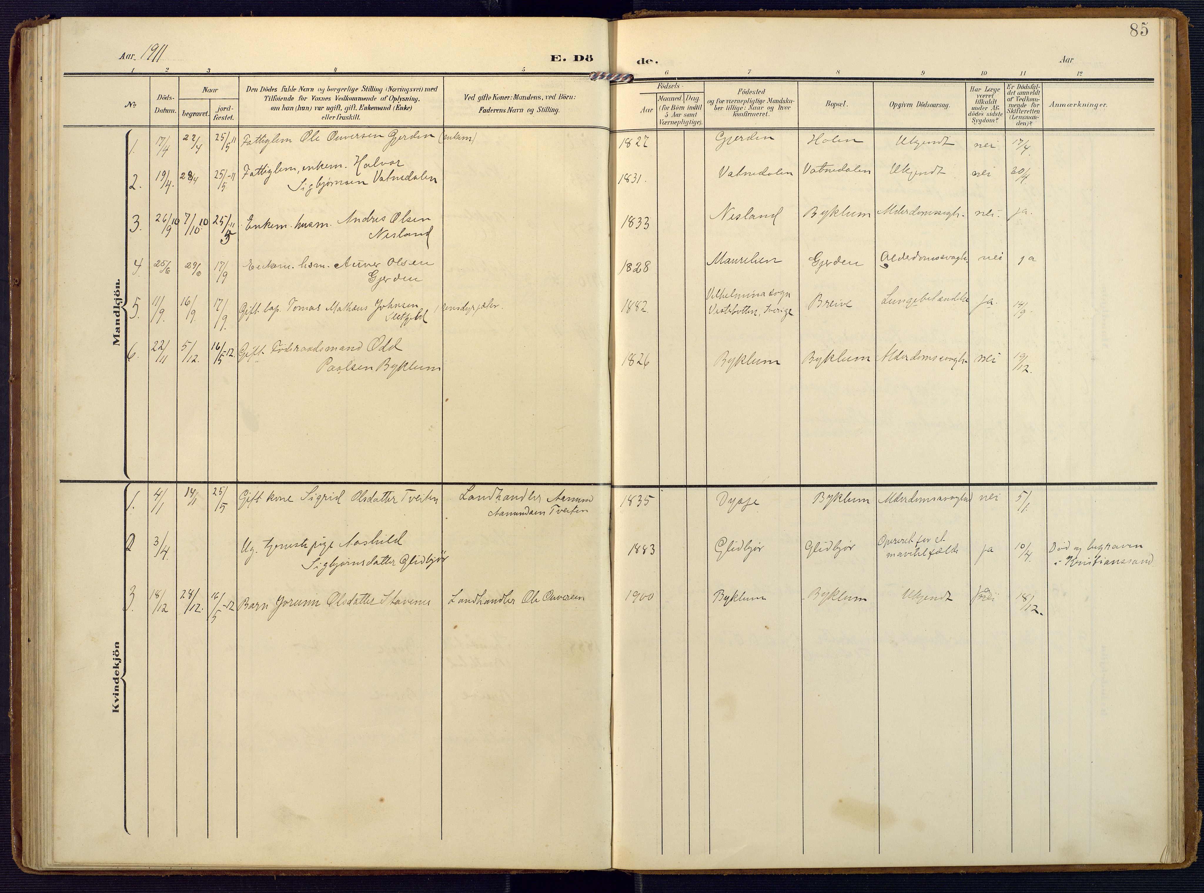 Valle sokneprestkontor, SAK/1111-0044/F/Fa/Faa/L0002: Parish register (official) no. A 2, 1907-1919, p. 85