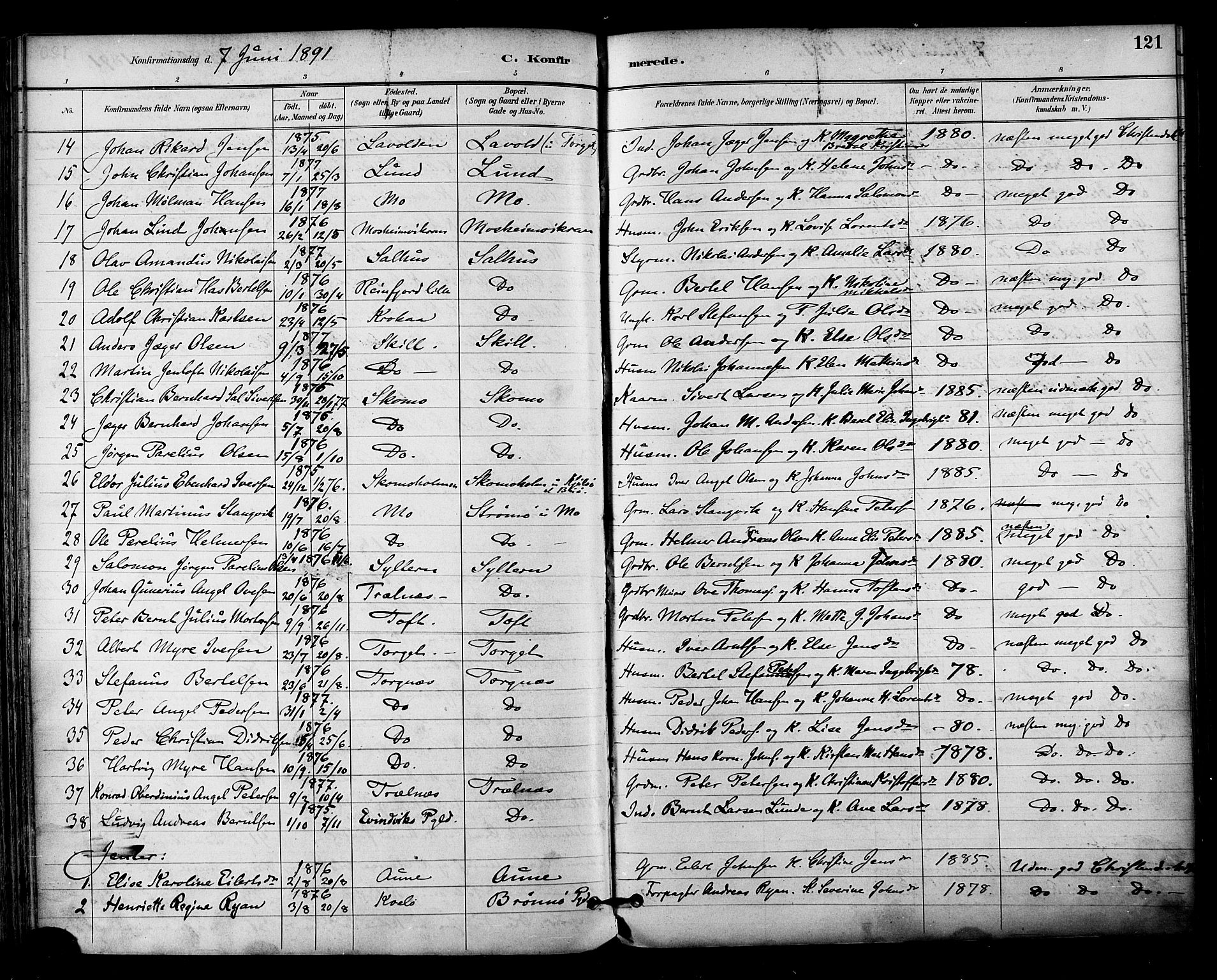 Ministerialprotokoller, klokkerbøker og fødselsregistre - Nordland, AV/SAT-A-1459/813/L0200: Parish register (official) no. 813A10, 1886-1900, p. 121