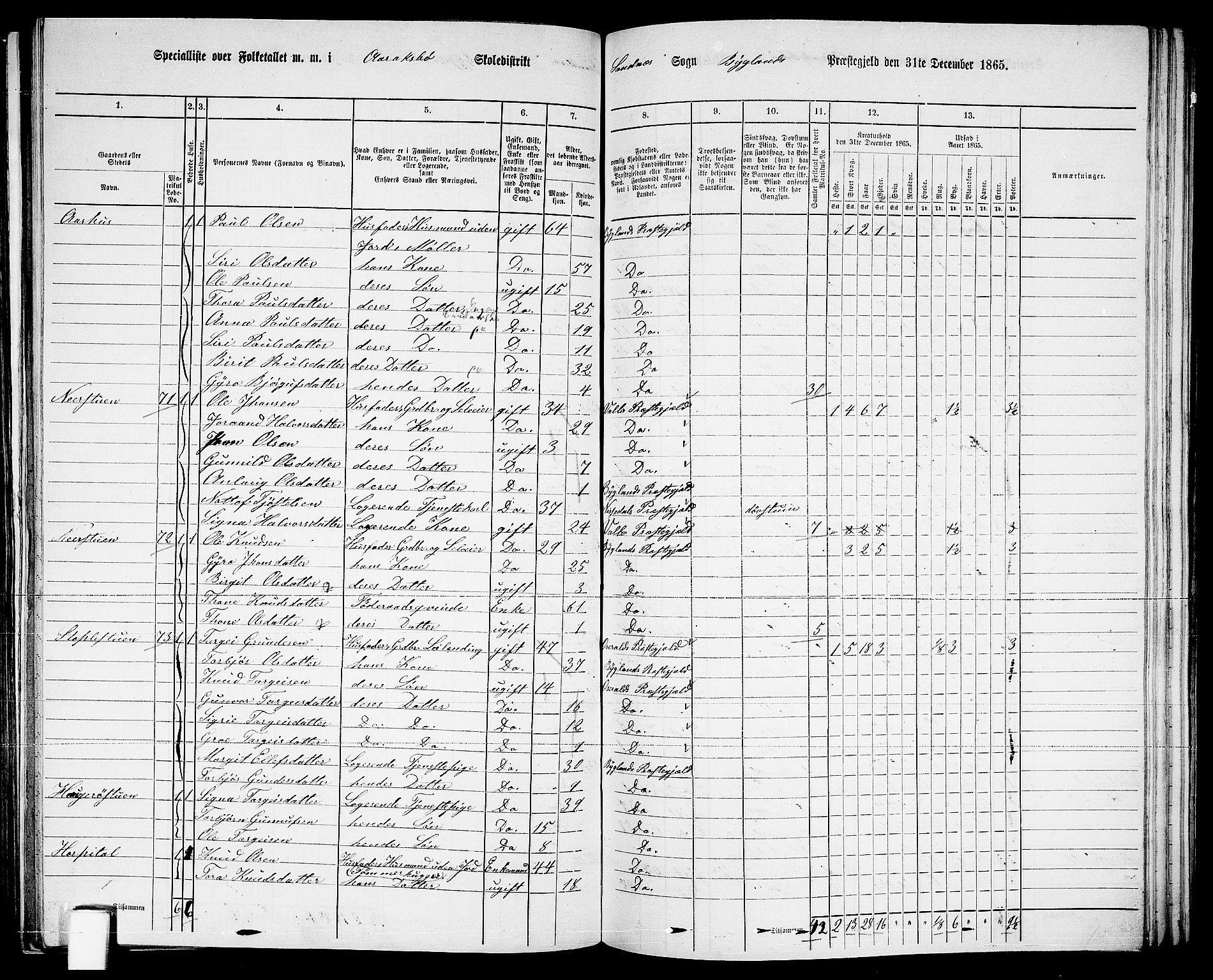 RA, 1865 census for Bygland, 1865, p. 37