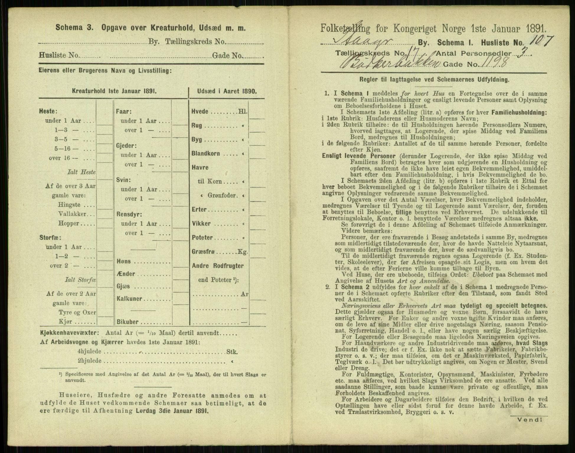 RA, 1891 census for 1103 Stavanger, 1891, p. 3397