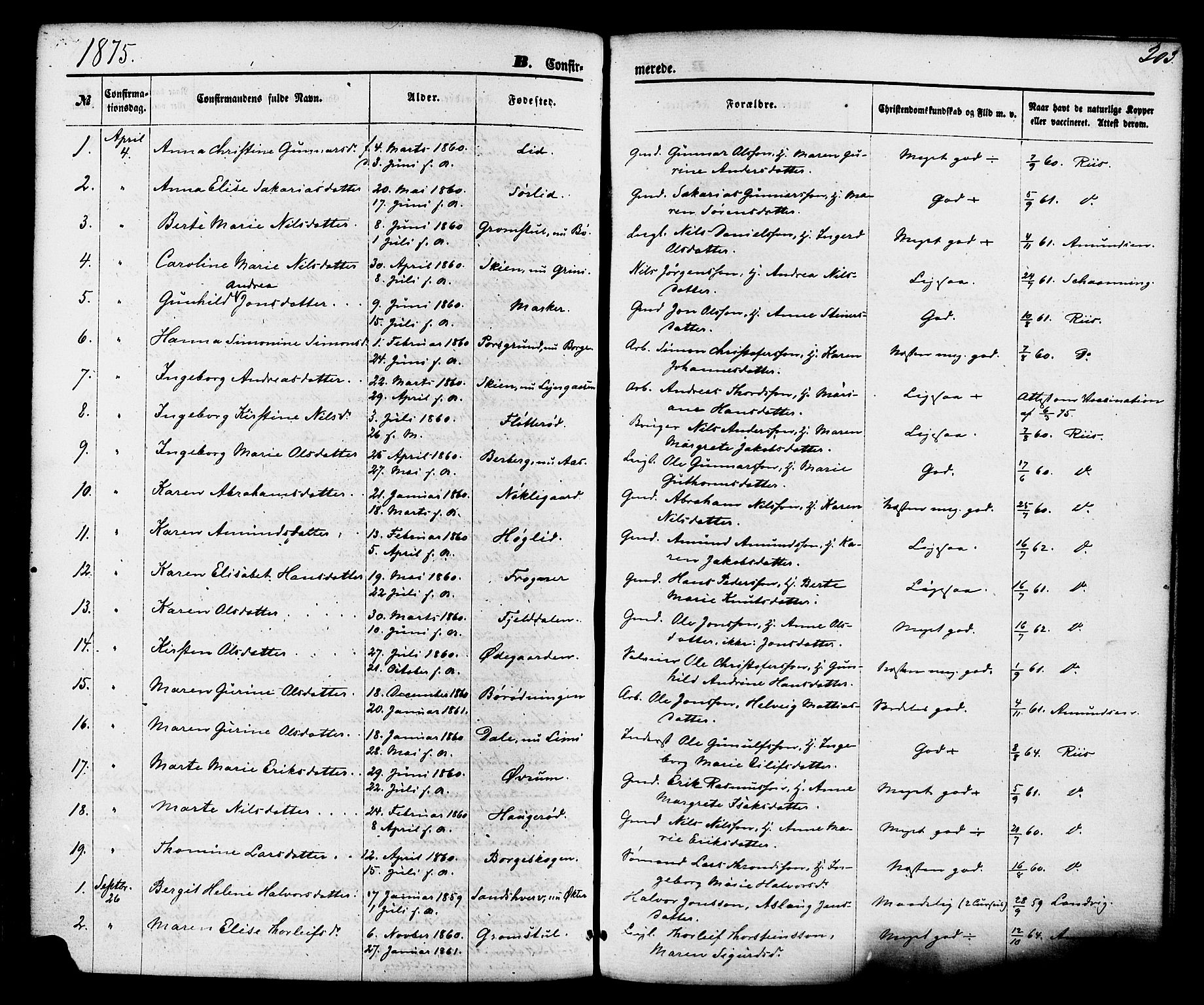 Gjerpen kirkebøker, SAKO/A-265/F/Fa/L0009: Parish register (official) no. I 9, 1872-1885, p. 203