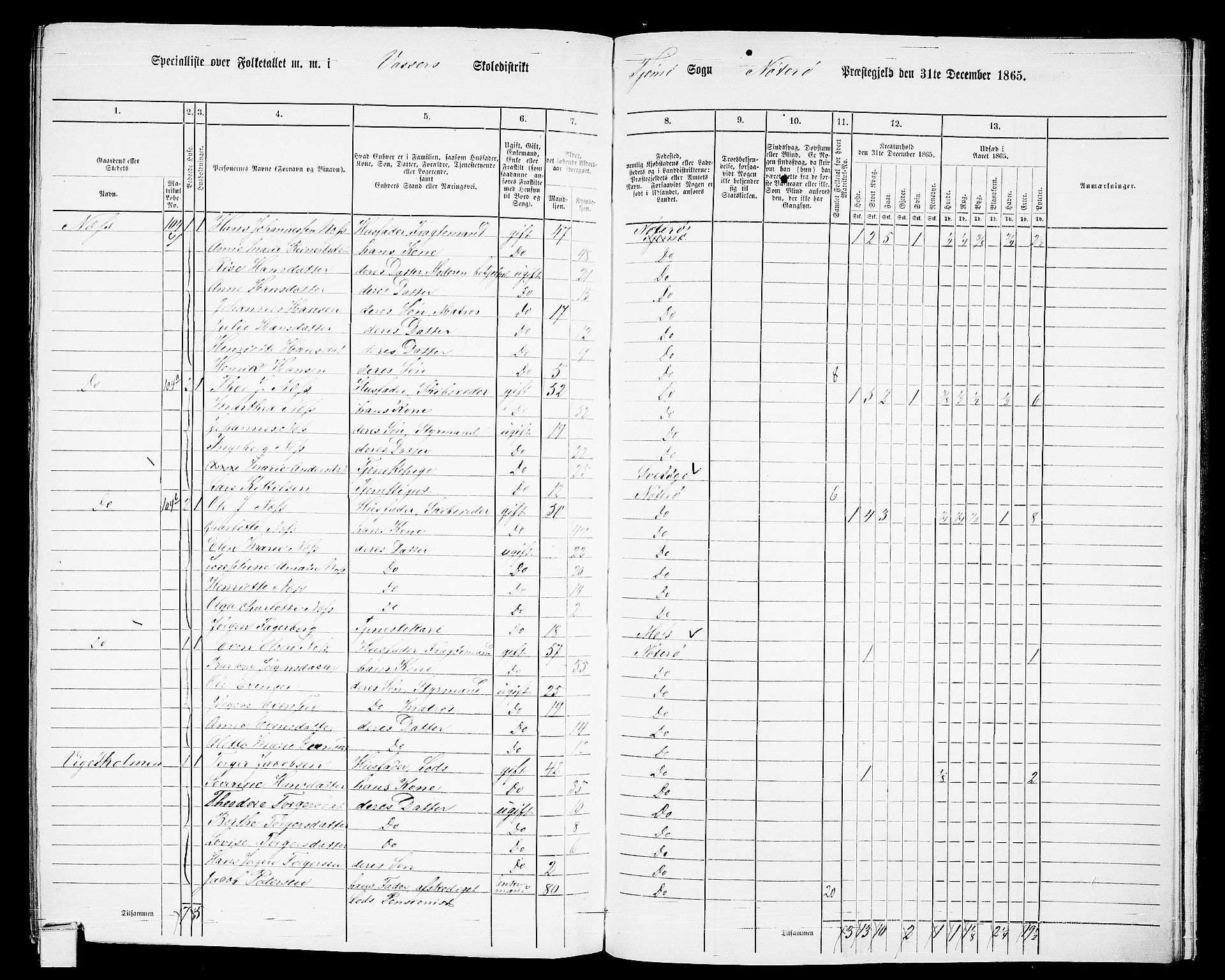 RA, 1865 census for Nøtterøy, 1865, p. 289