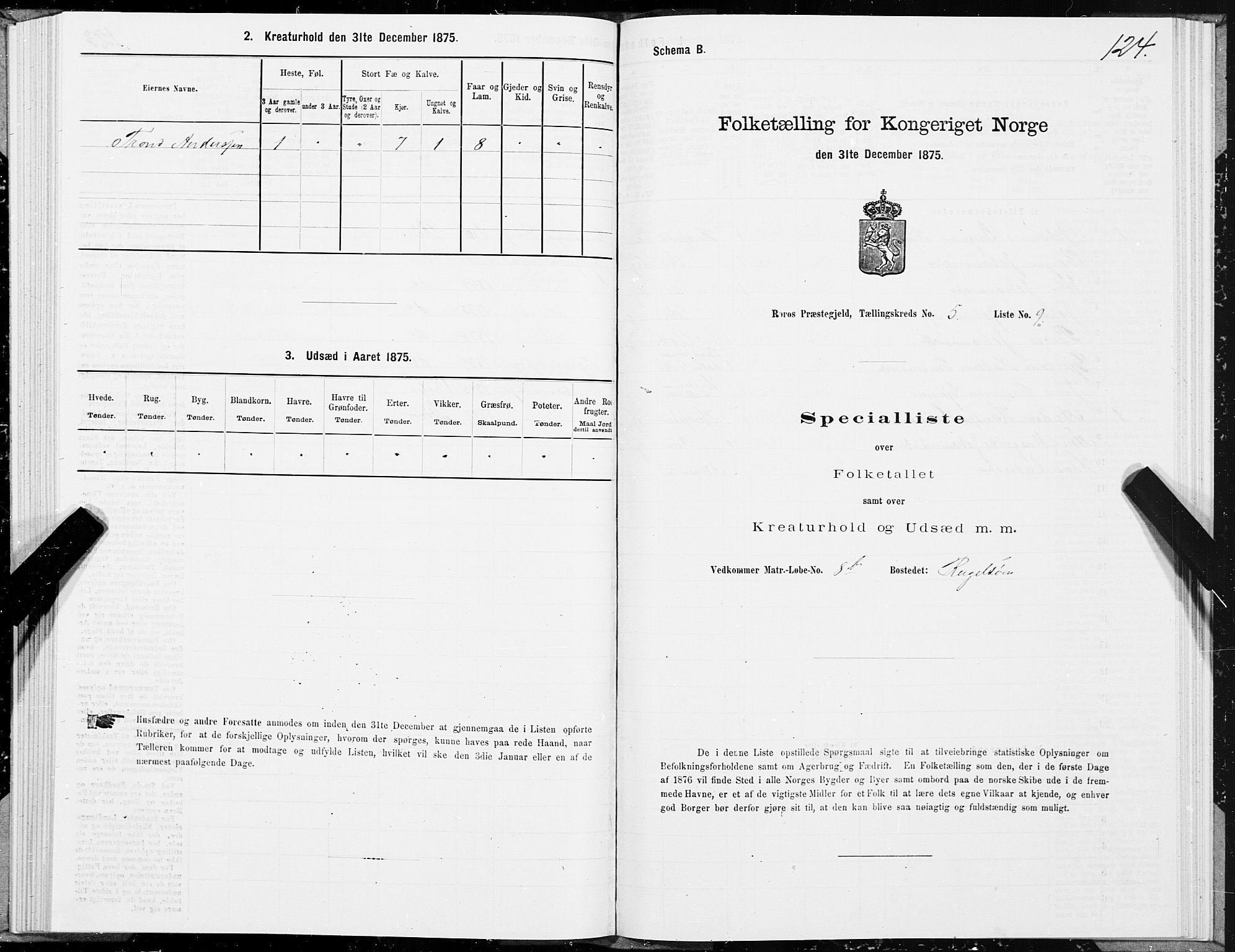 SAT, 1875 census for 1640P Røros, 1875, p. 3124