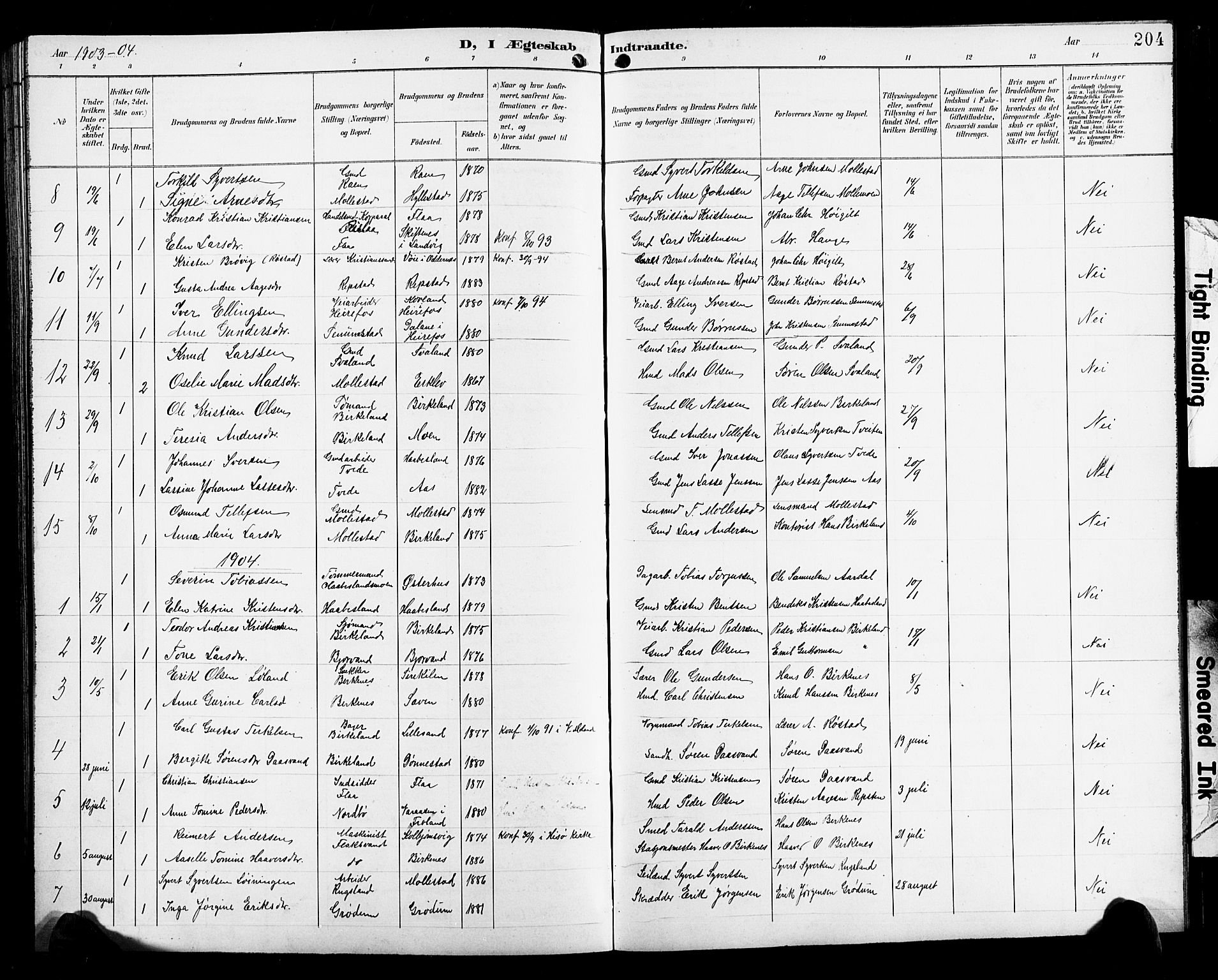 Birkenes sokneprestkontor, SAK/1111-0004/F/Fb/L0004: Parish register (copy) no. B 4, 1893-1930, p. 204