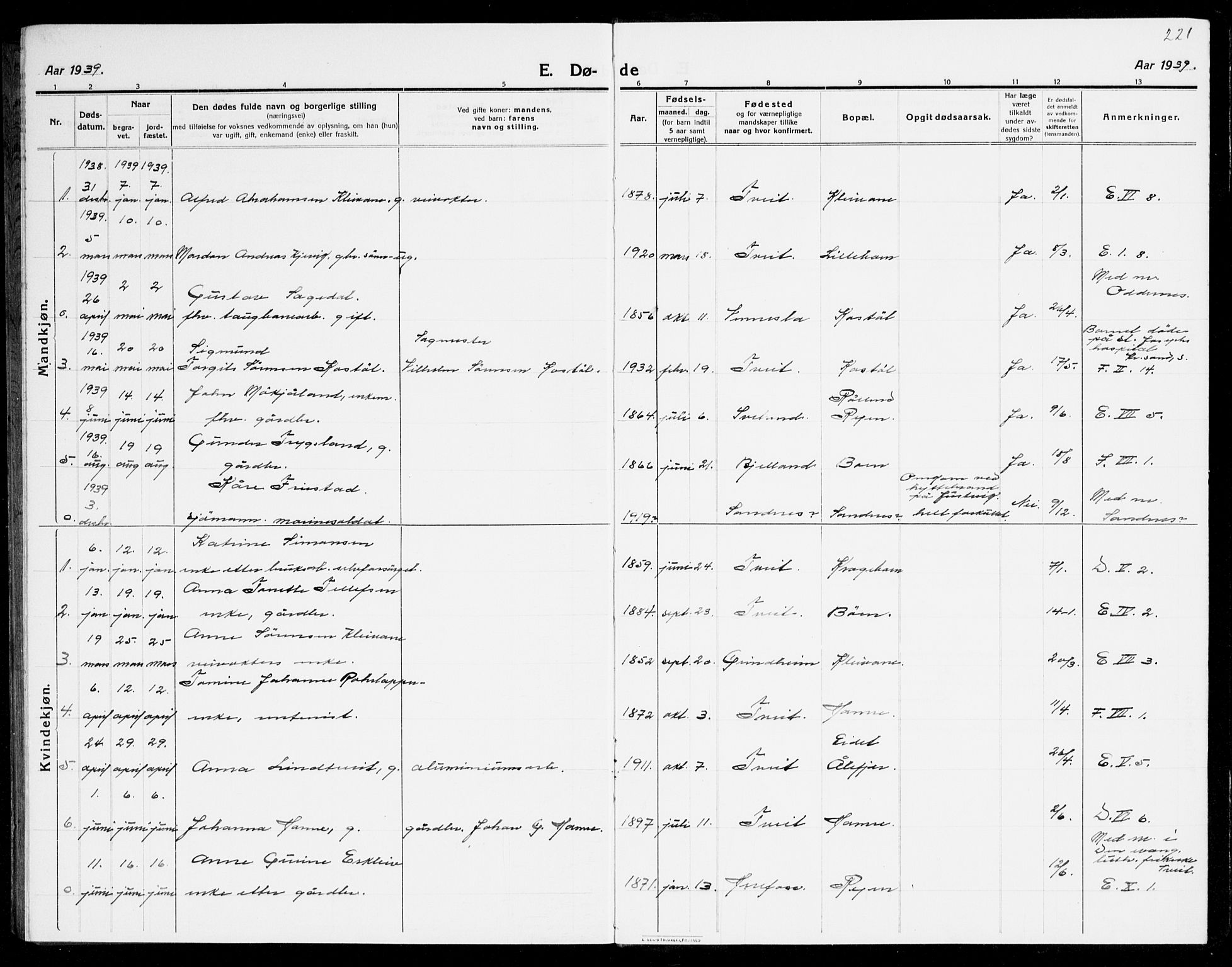 Tveit sokneprestkontor, AV/SAK-1111-0043/F/Fb/L0005: Parish register (copy) no. B 5, 1915-1941, p. 221