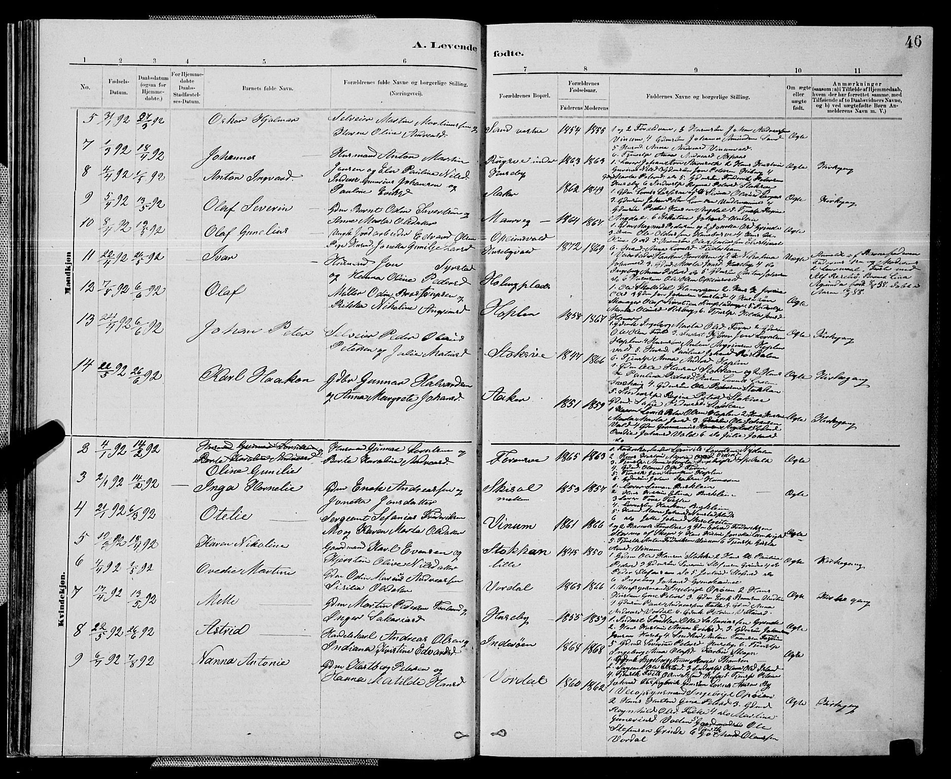 Ministerialprotokoller, klokkerbøker og fødselsregistre - Nord-Trøndelag, SAT/A-1458/714/L0134: Parish register (copy) no. 714C03, 1878-1898, p. 46
