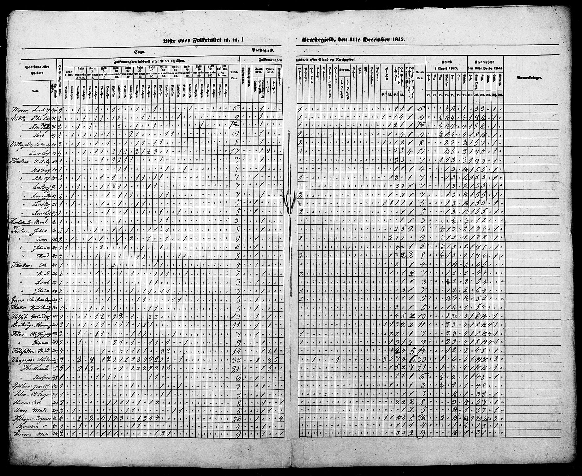 SAT, Census 1845 for Borgund, 1845, p. 31