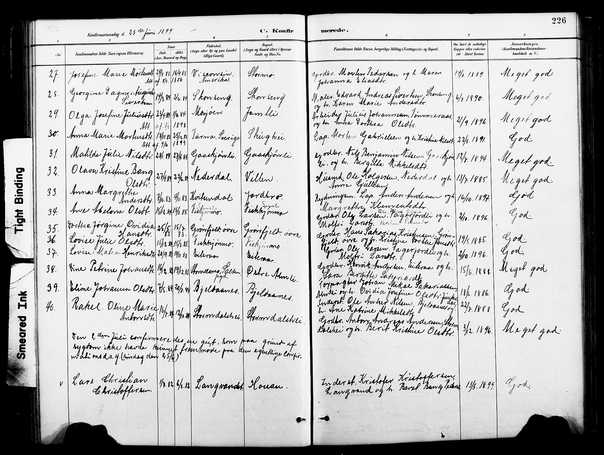 Ministerialprotokoller, klokkerbøker og fødselsregistre - Nordland, AV/SAT-A-1459/827/L0421: Parish register (copy) no. 827C10, 1887-1906, p. 226