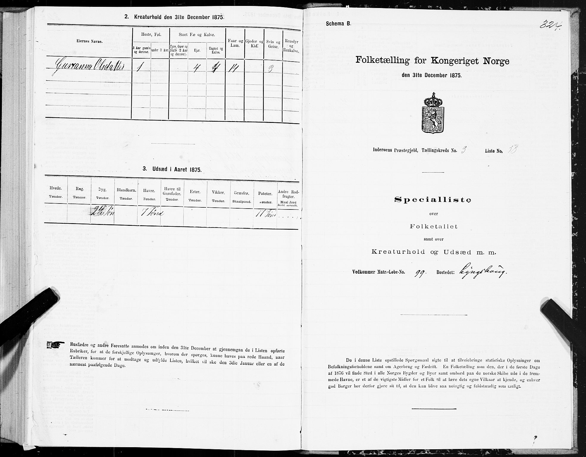 SAT, 1875 census for 1729P Inderøy, 1875, p. 2324