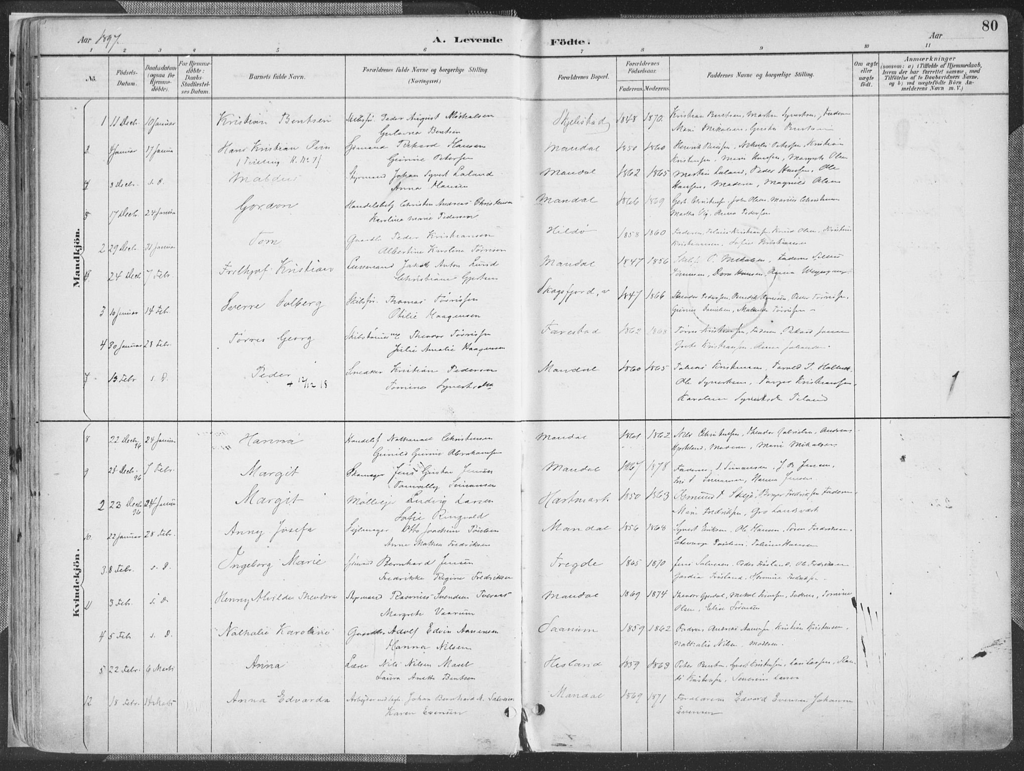 Mandal sokneprestkontor, AV/SAK-1111-0030/F/Fa/Faa/L0018: Parish register (official) no. A 18, 1890-1905, p. 80