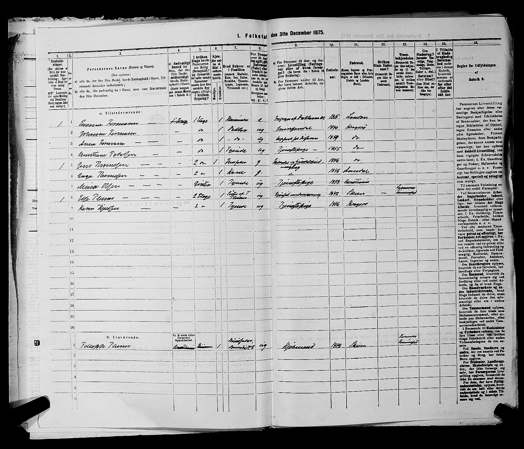 SAKO, 1875 census for 0801P Kragerø, 1875, p. 238