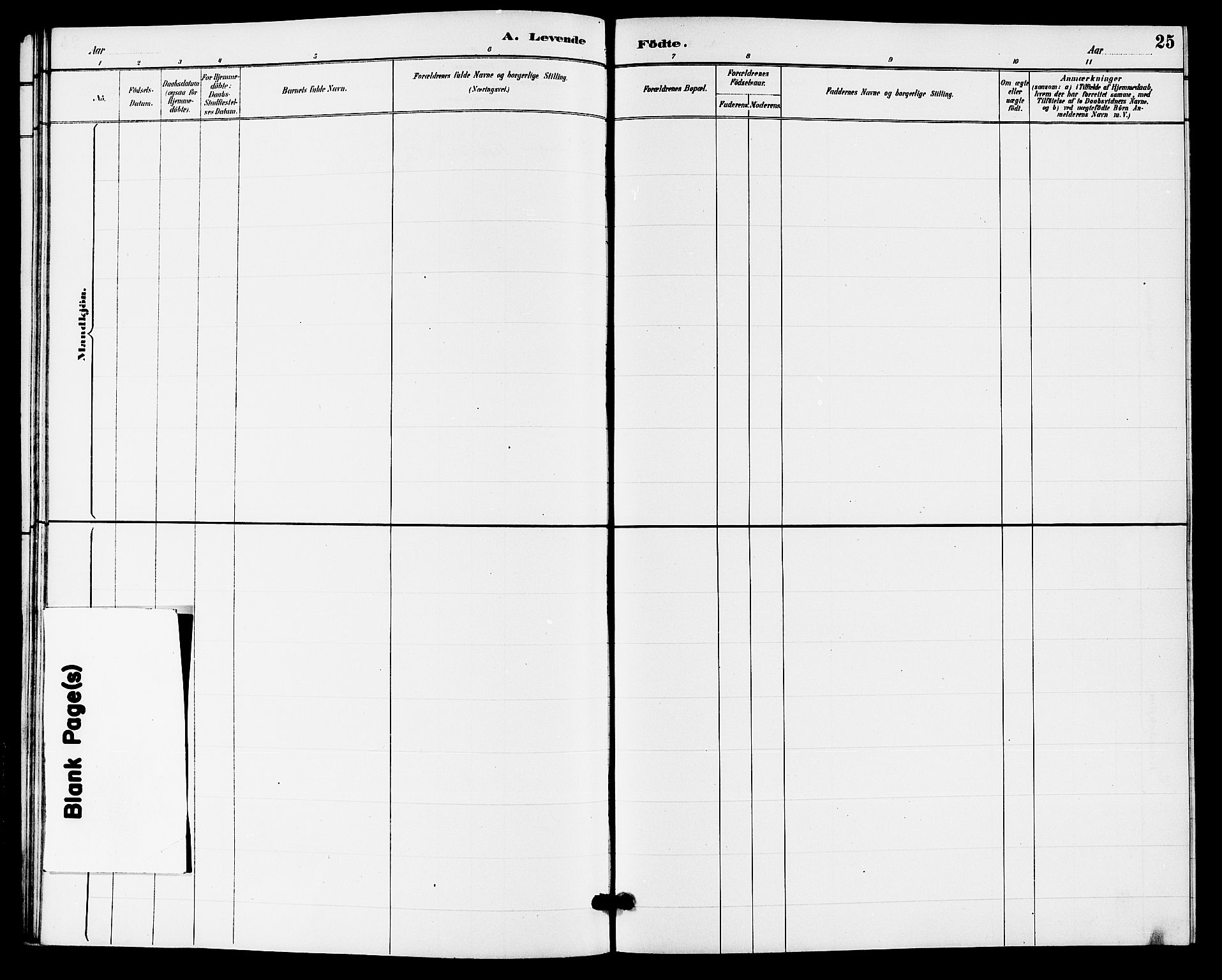 Hjartdal kirkebøker, SAKO/A-270/G/Gb/L0003: Parish register (copy) no. II 3, 1884-1899, p. 25