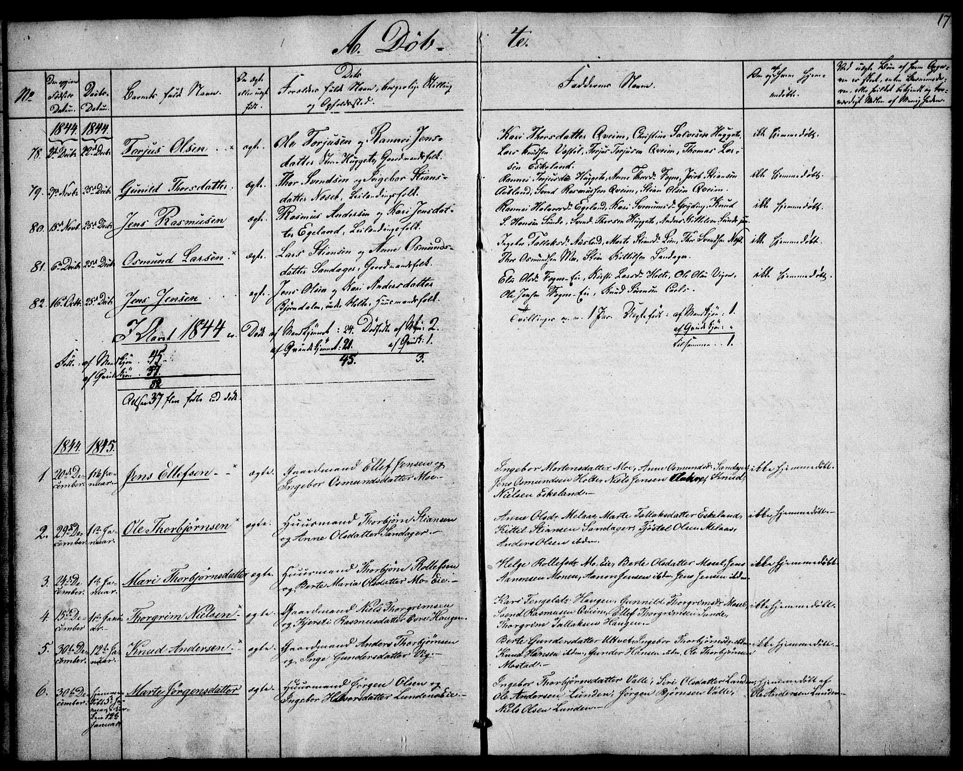 Gjerstad sokneprestkontor, SAK/1111-0014/F/Fa/Faa/L0006: Parish register (official) no. A 6, 1841-1857, p. 17