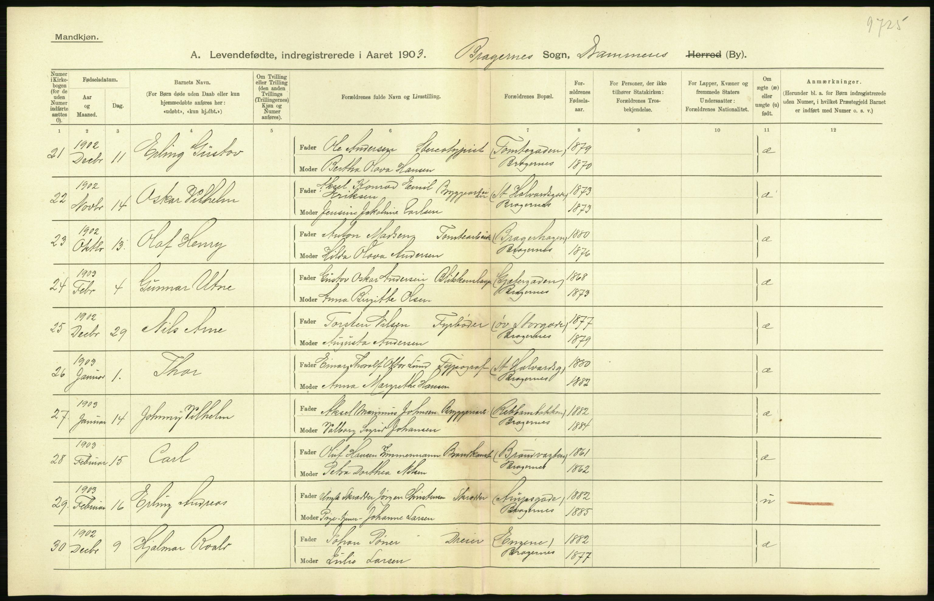 Statistisk sentralbyrå, Sosiodemografiske emner, Befolkning, AV/RA-S-2228/D/Df/Dfa/Dfaa/L0007: Buskeruds amt: Fødte, gifte, døde, 1903, p. 296